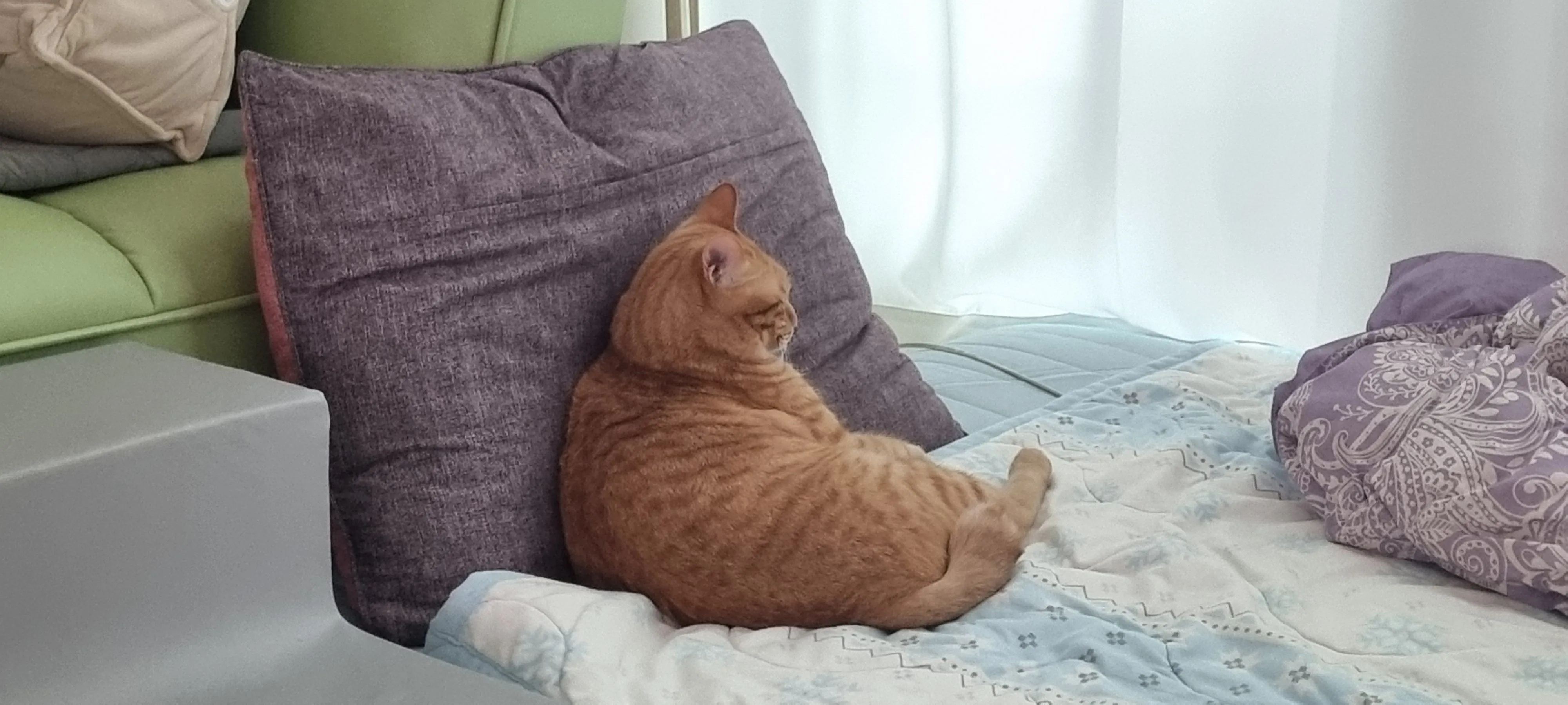 1번째 파일