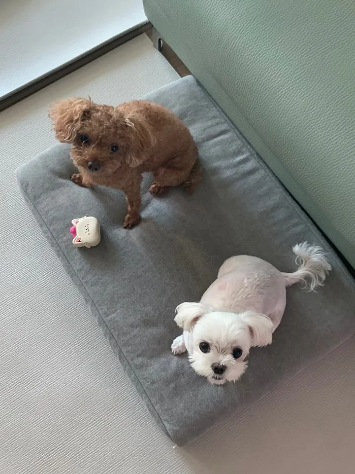 2번째 파일