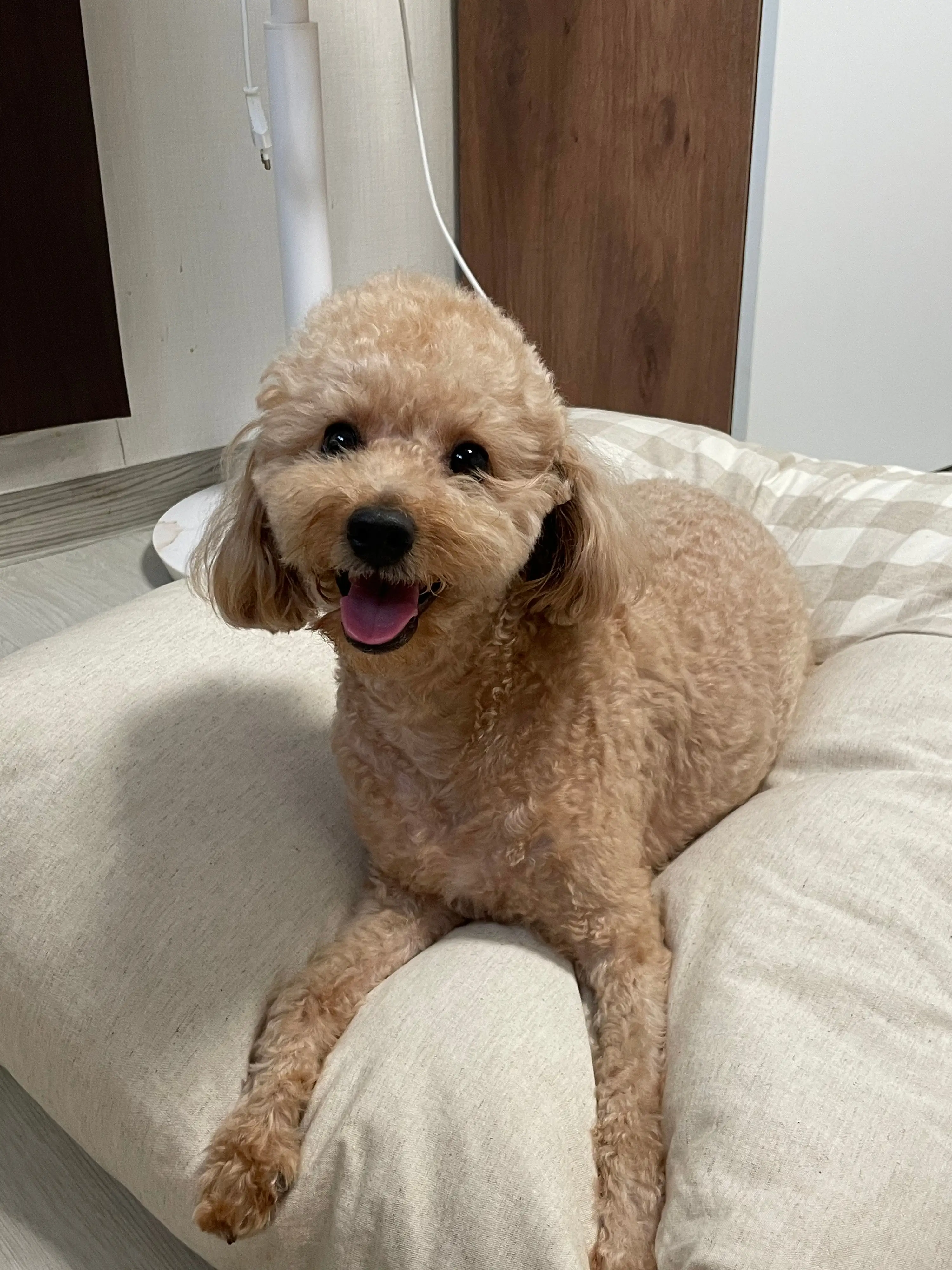 1번째 파일
