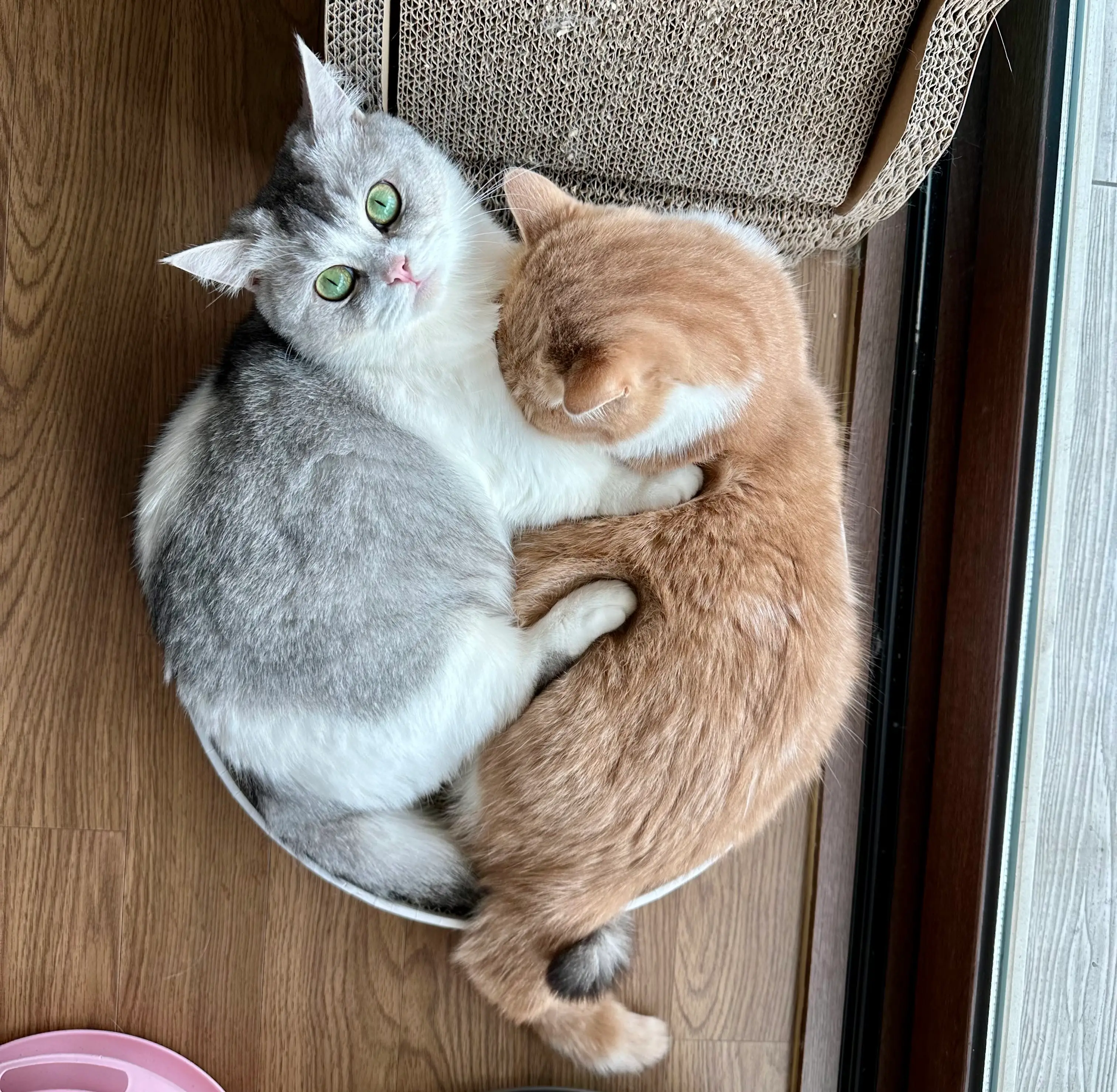 2번째 파일