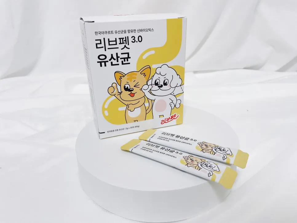 4번째 파일