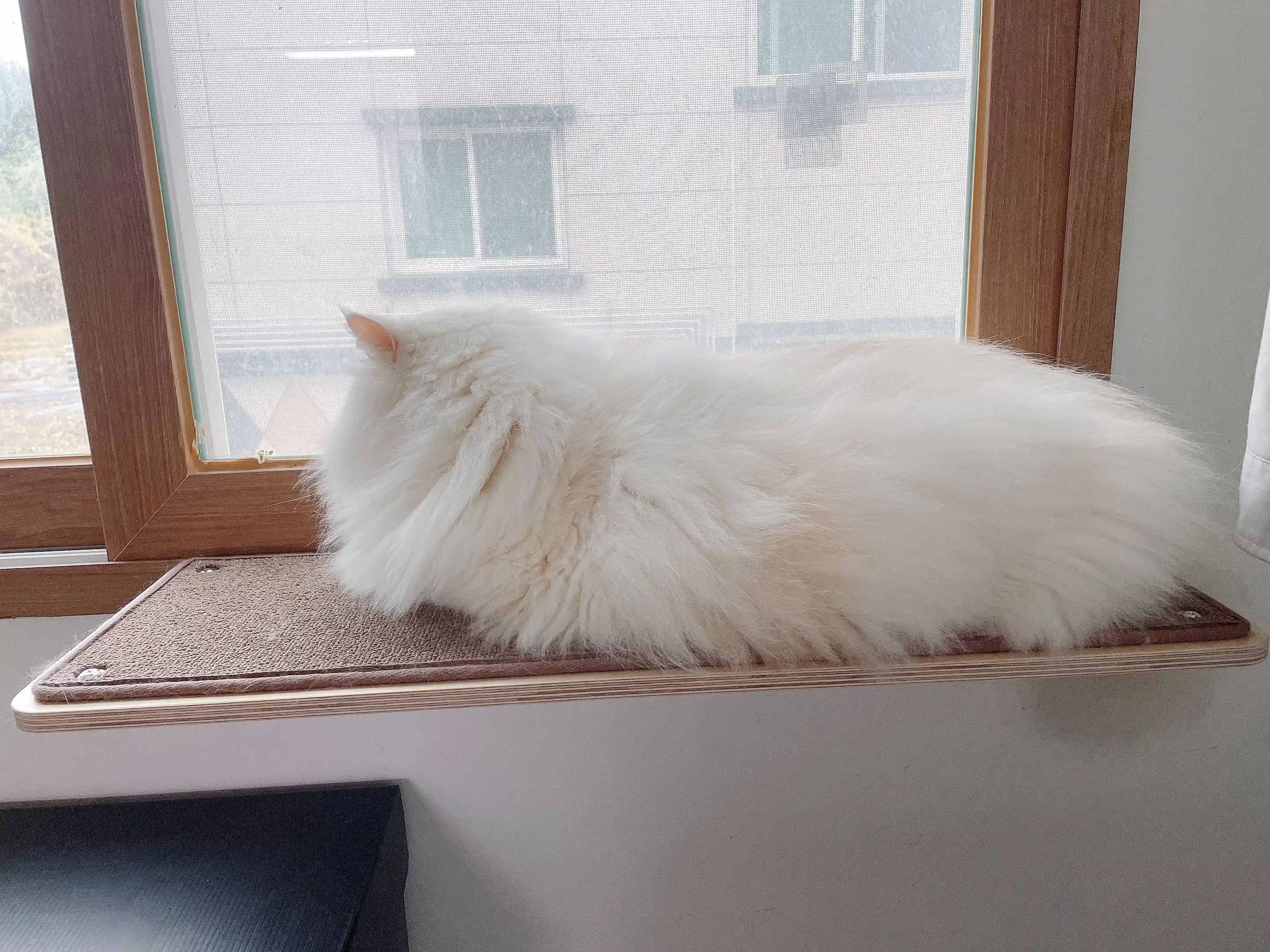 5번째 파일
