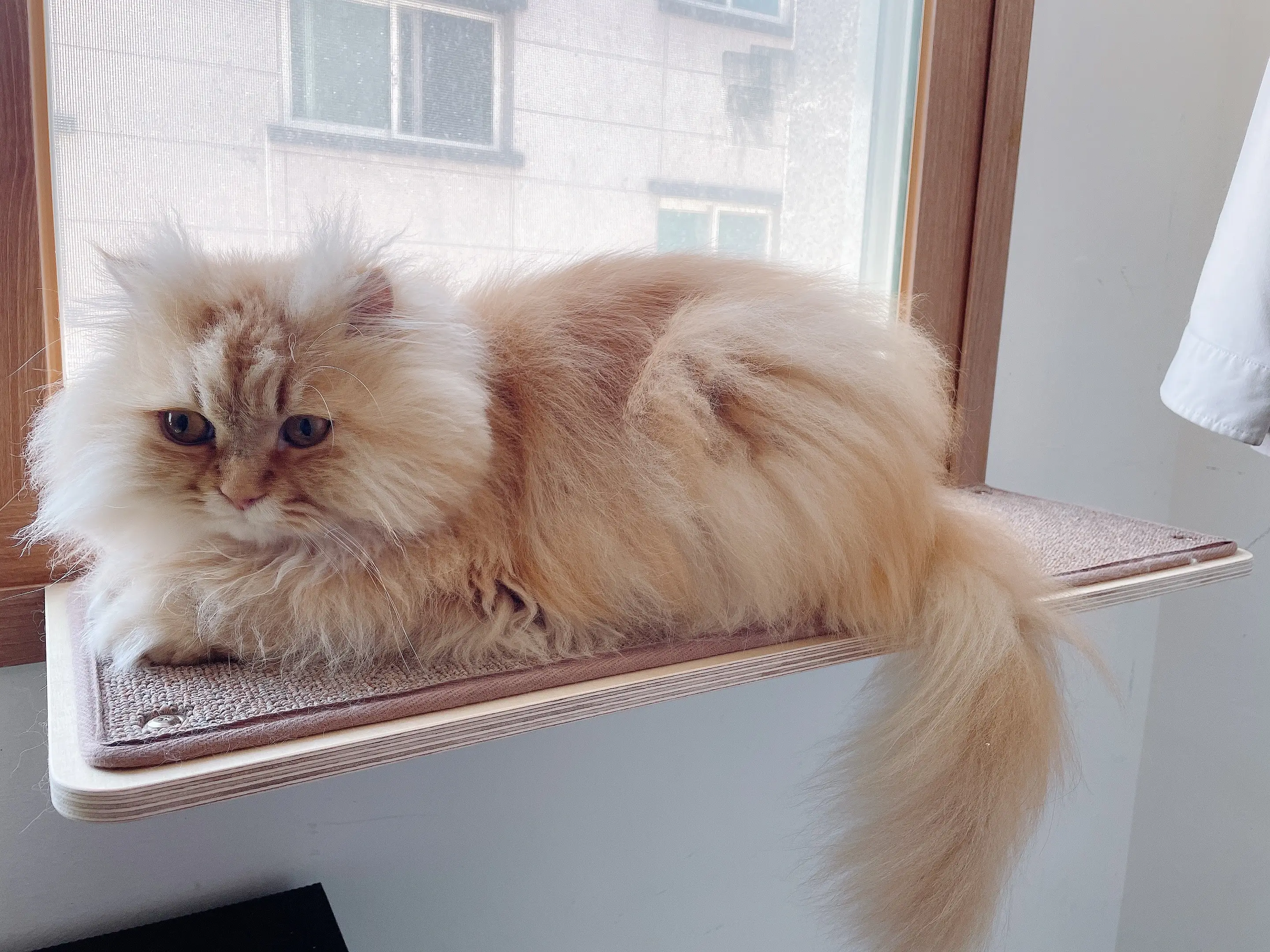 3번째 파일