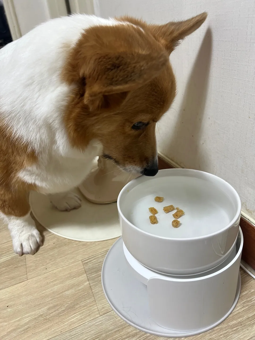 2번째 파일