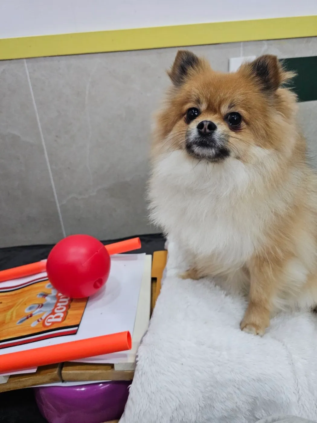 1번째 파일