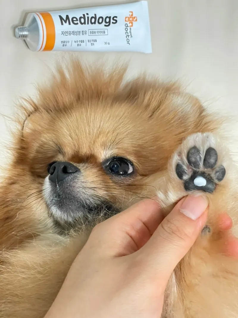 3번째 파일
