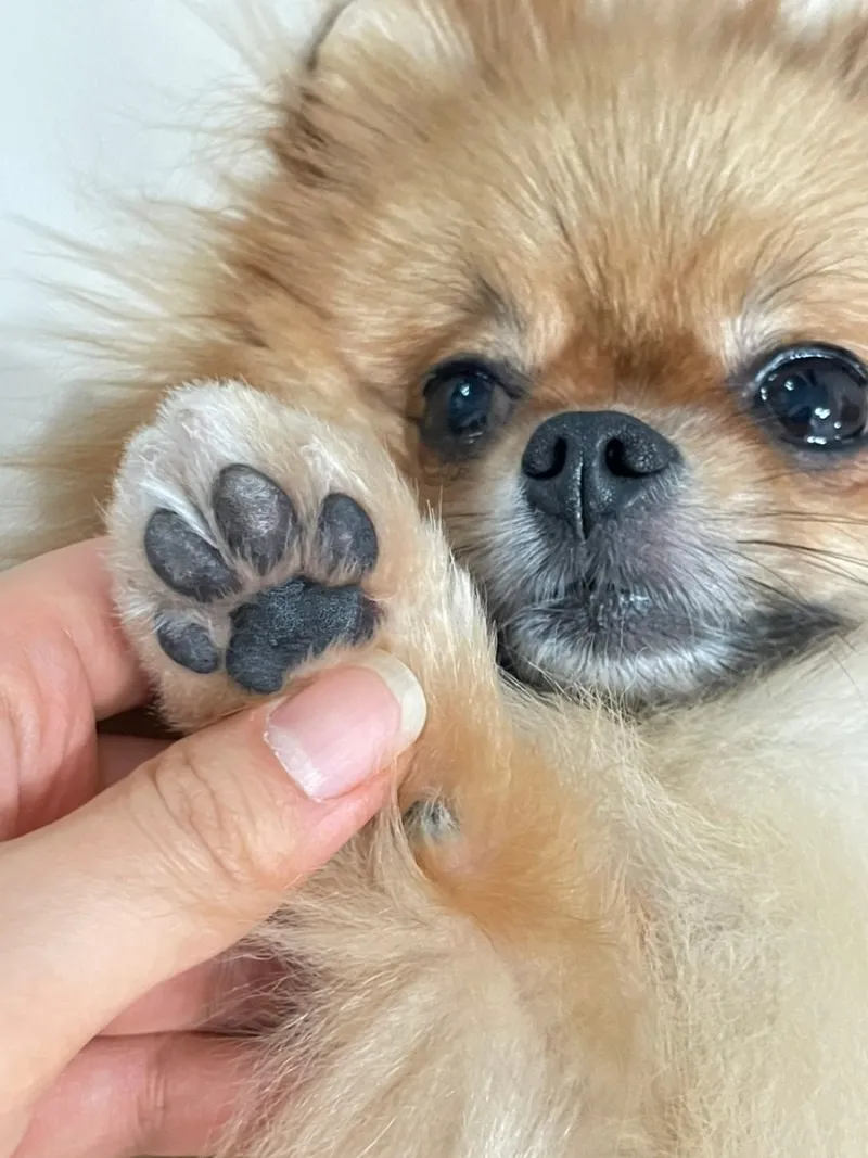 1번째 파일