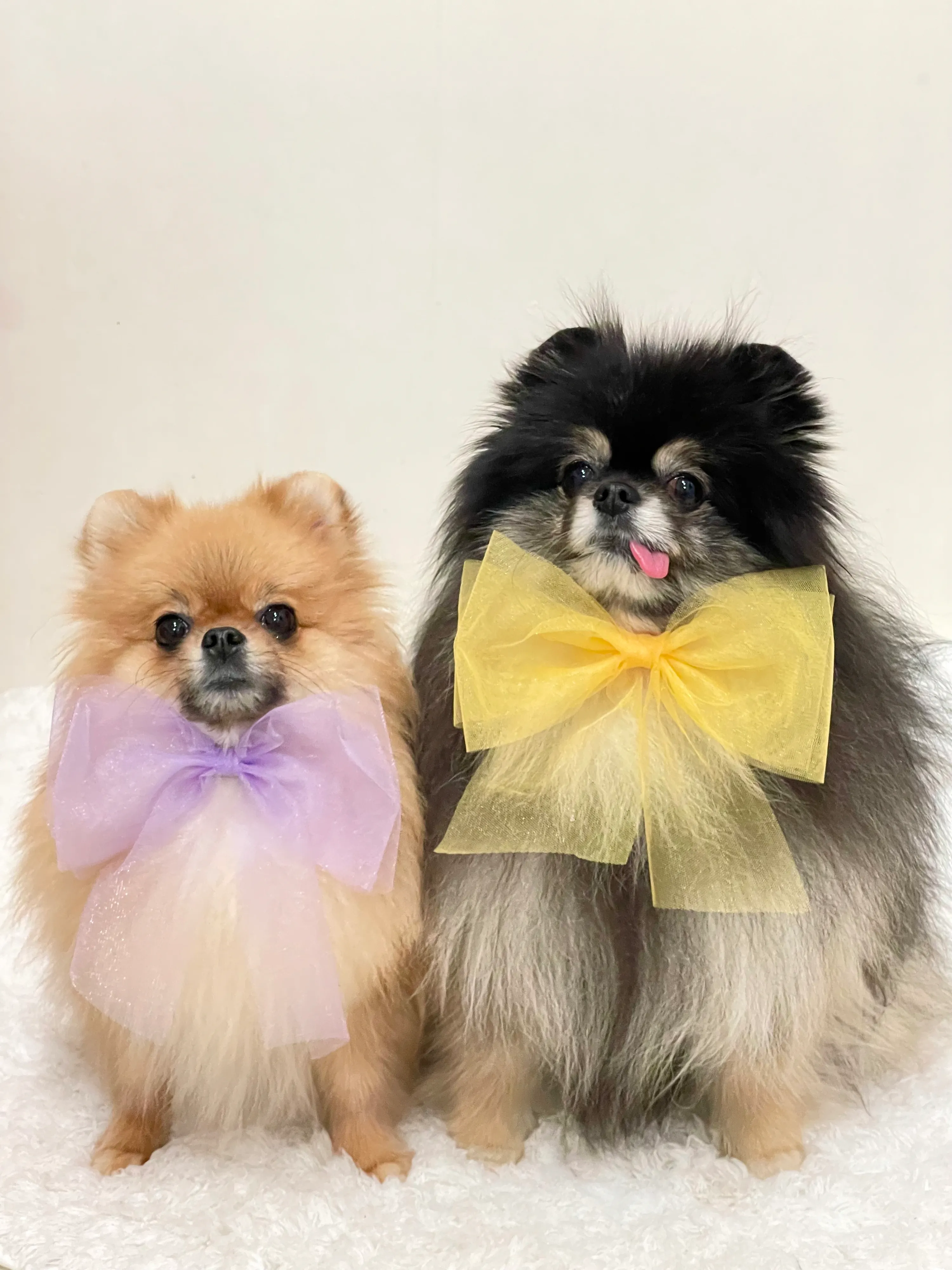 2번째 파일