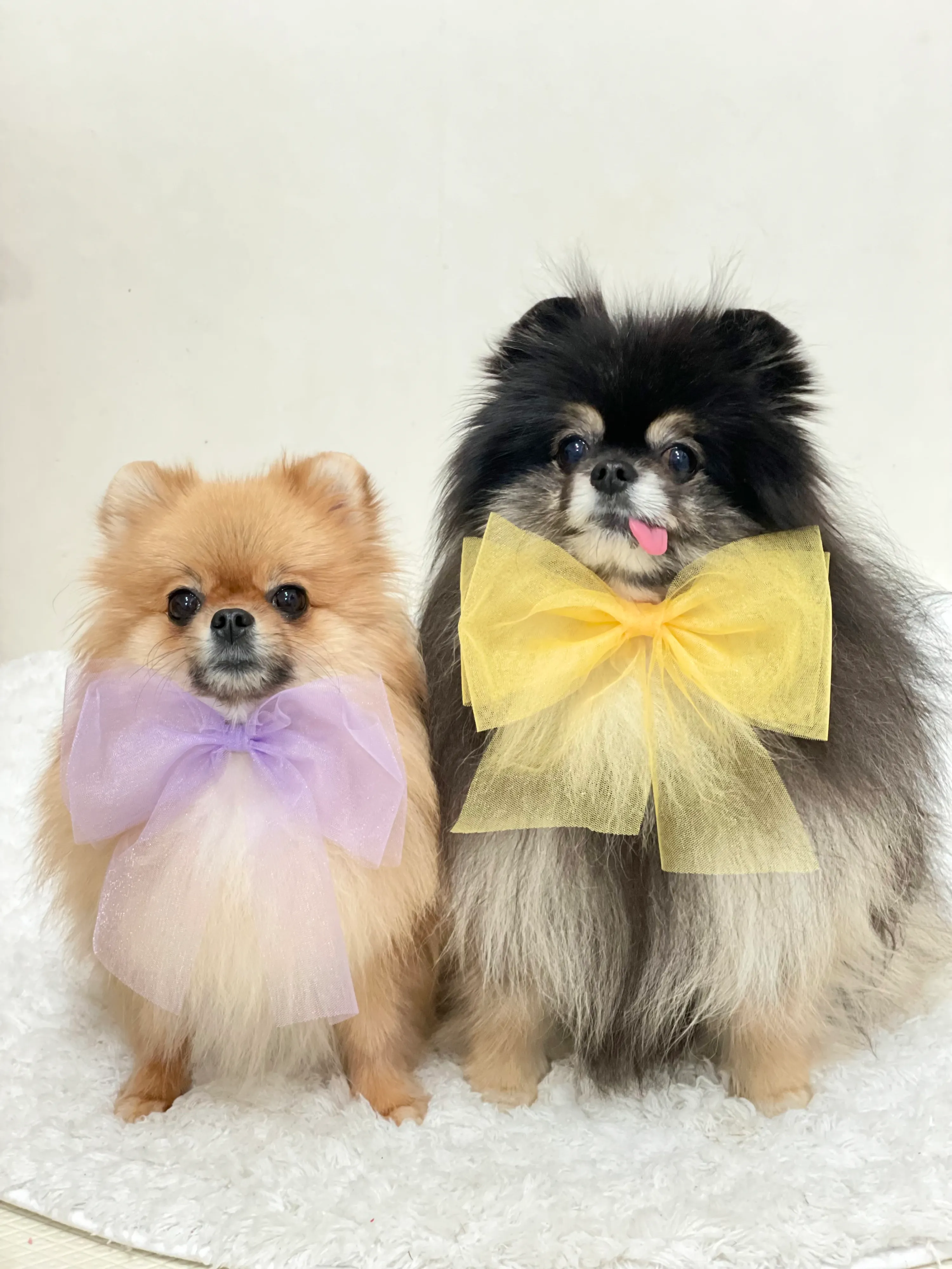 1번째 파일