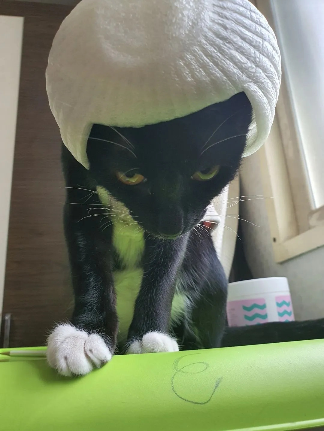 1번째 파일
