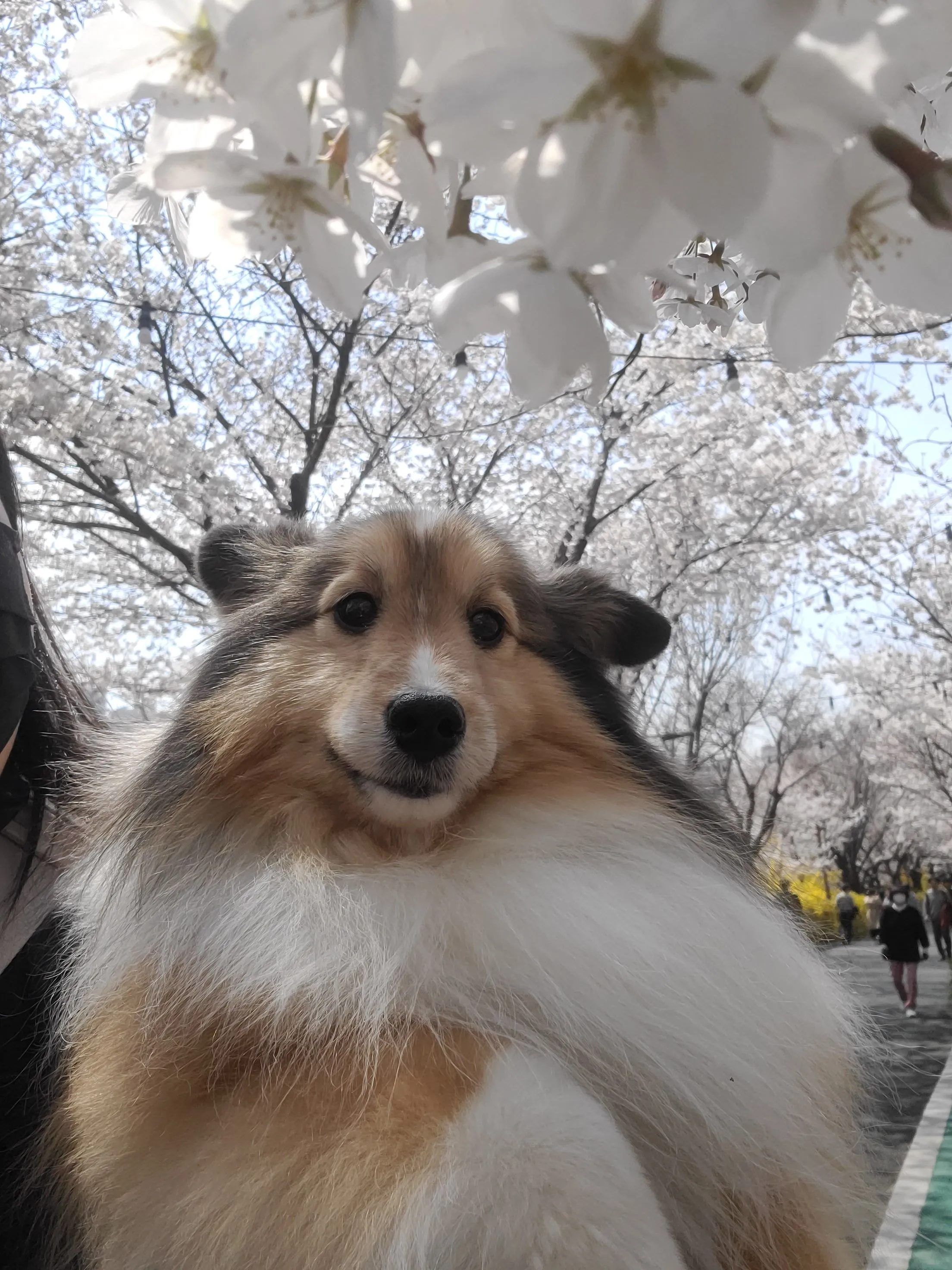4번째 파일