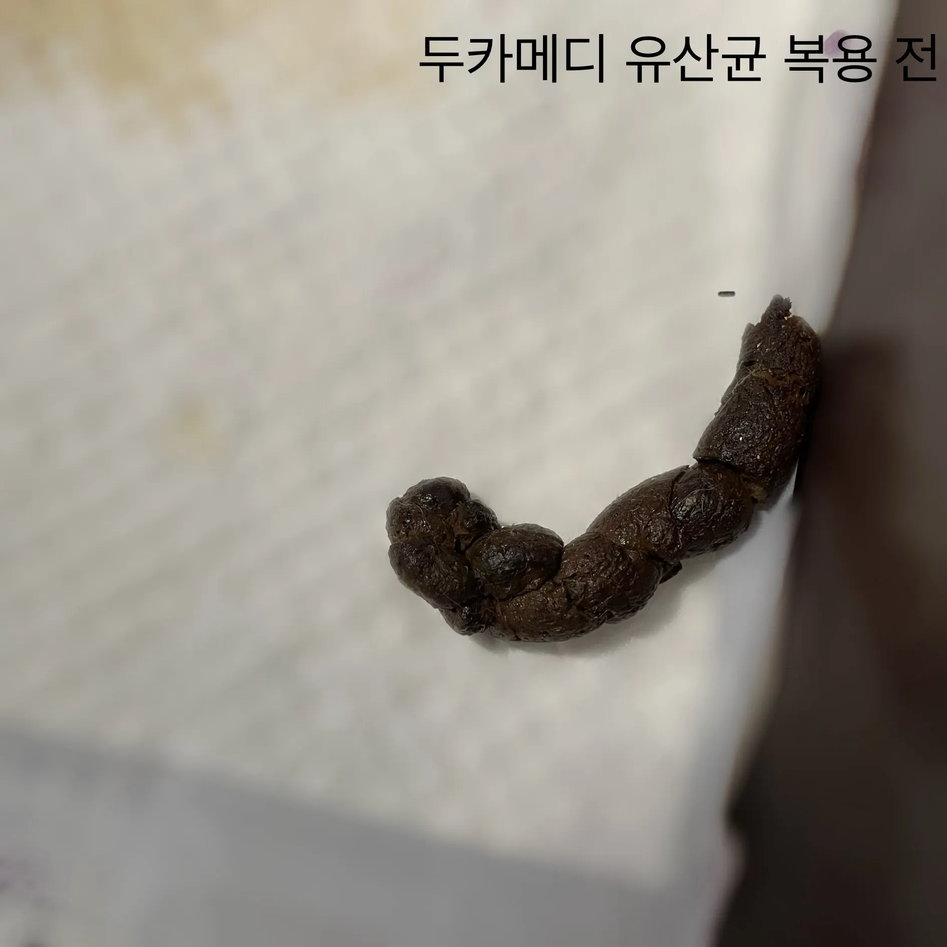 3번째 파일