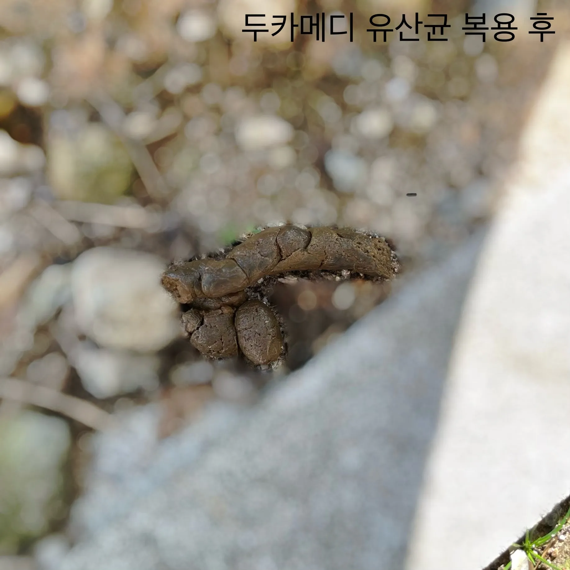 4번째 파일