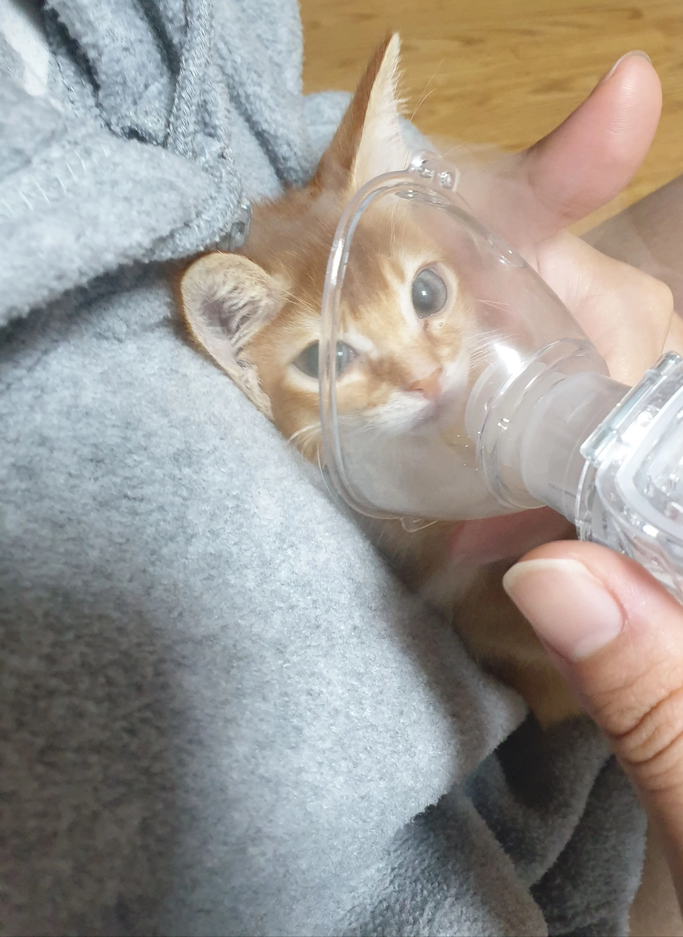 1번째 파일