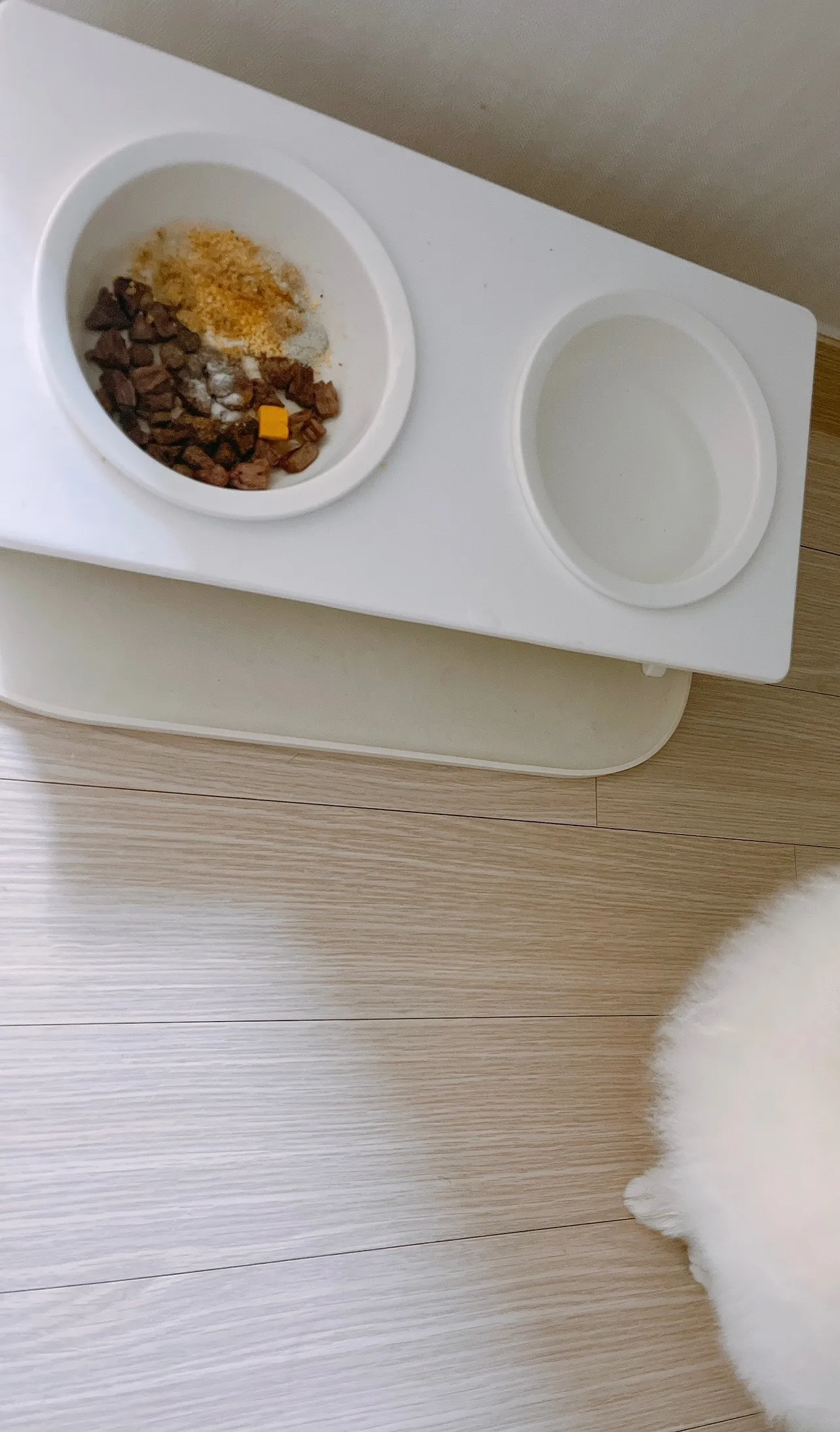 2번째 파일