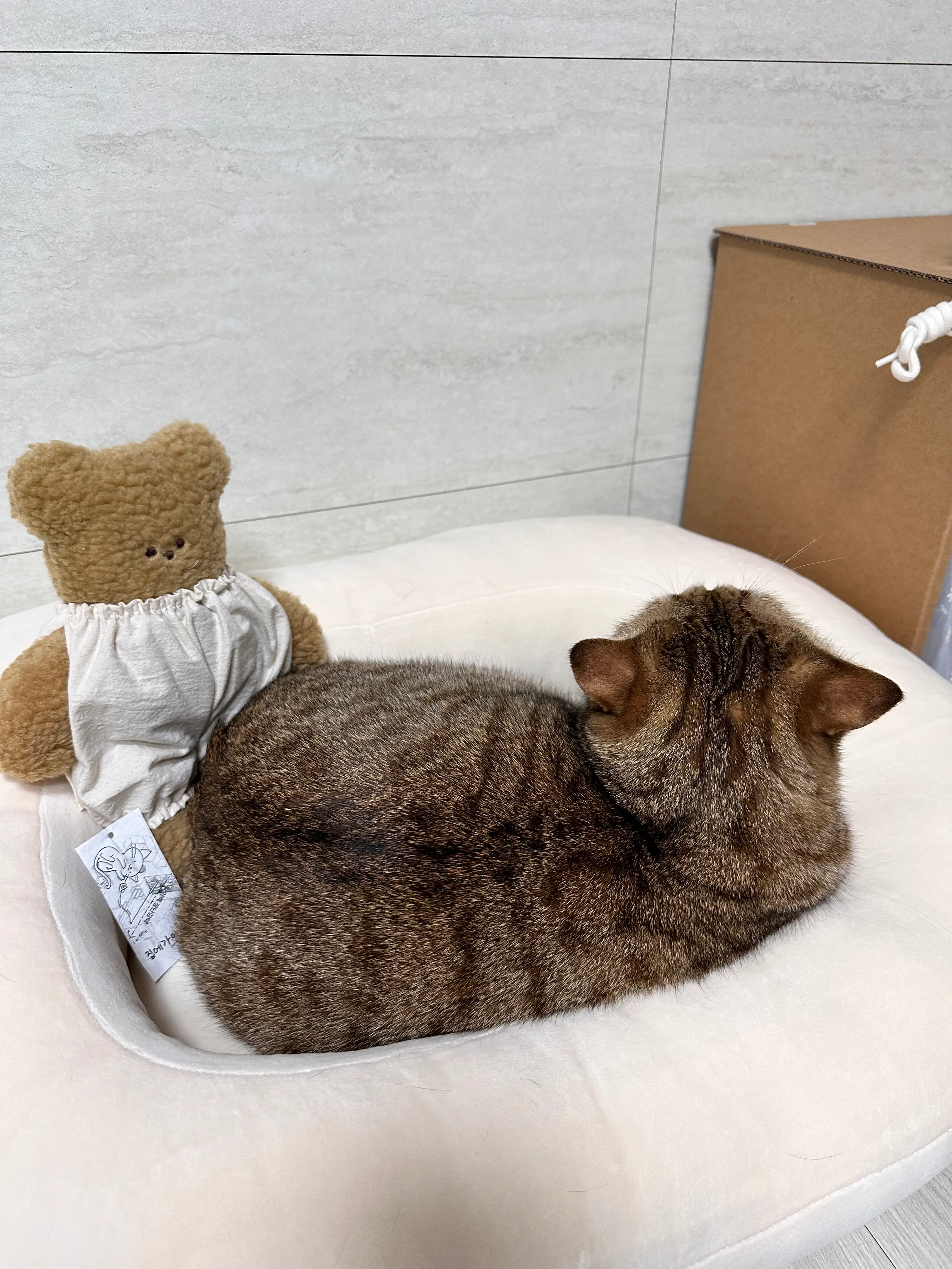 3번째 파일