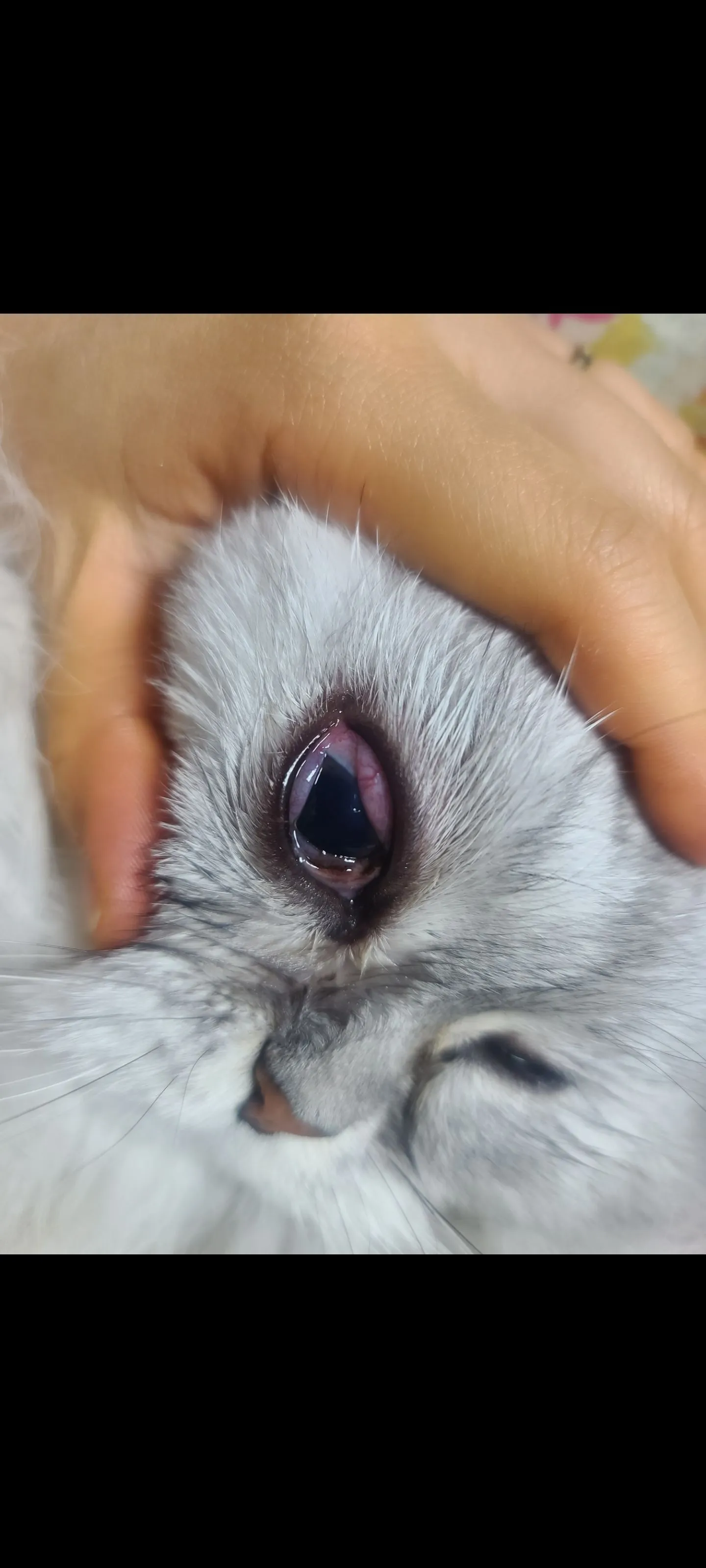 5번째 파일