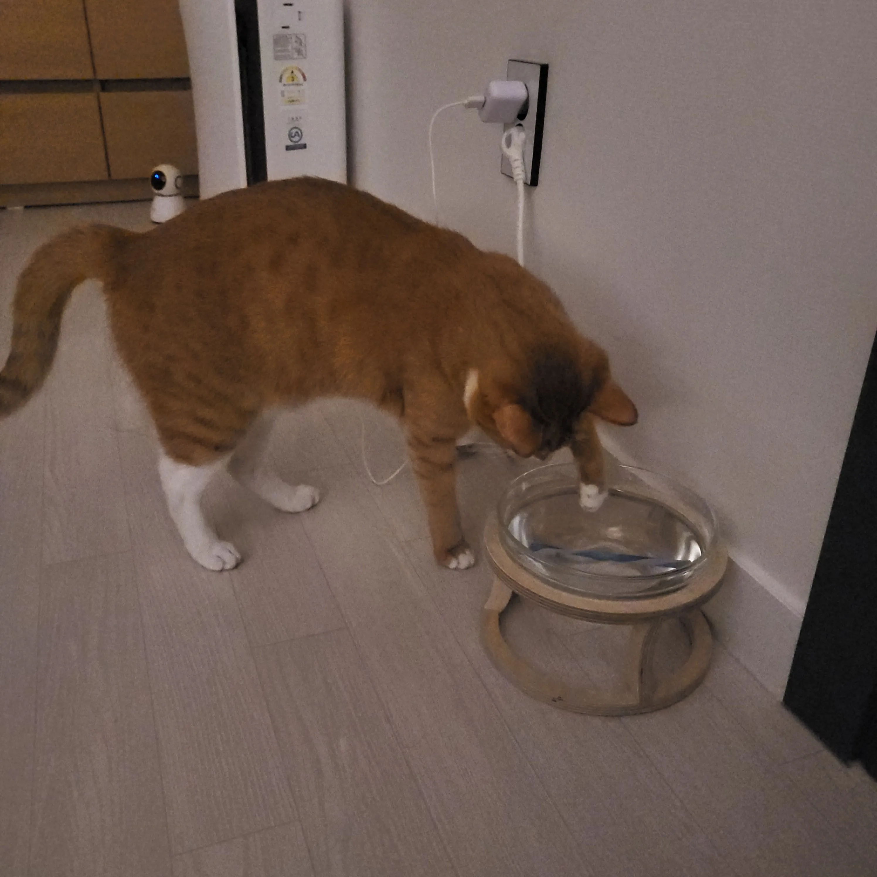 4번째 파일