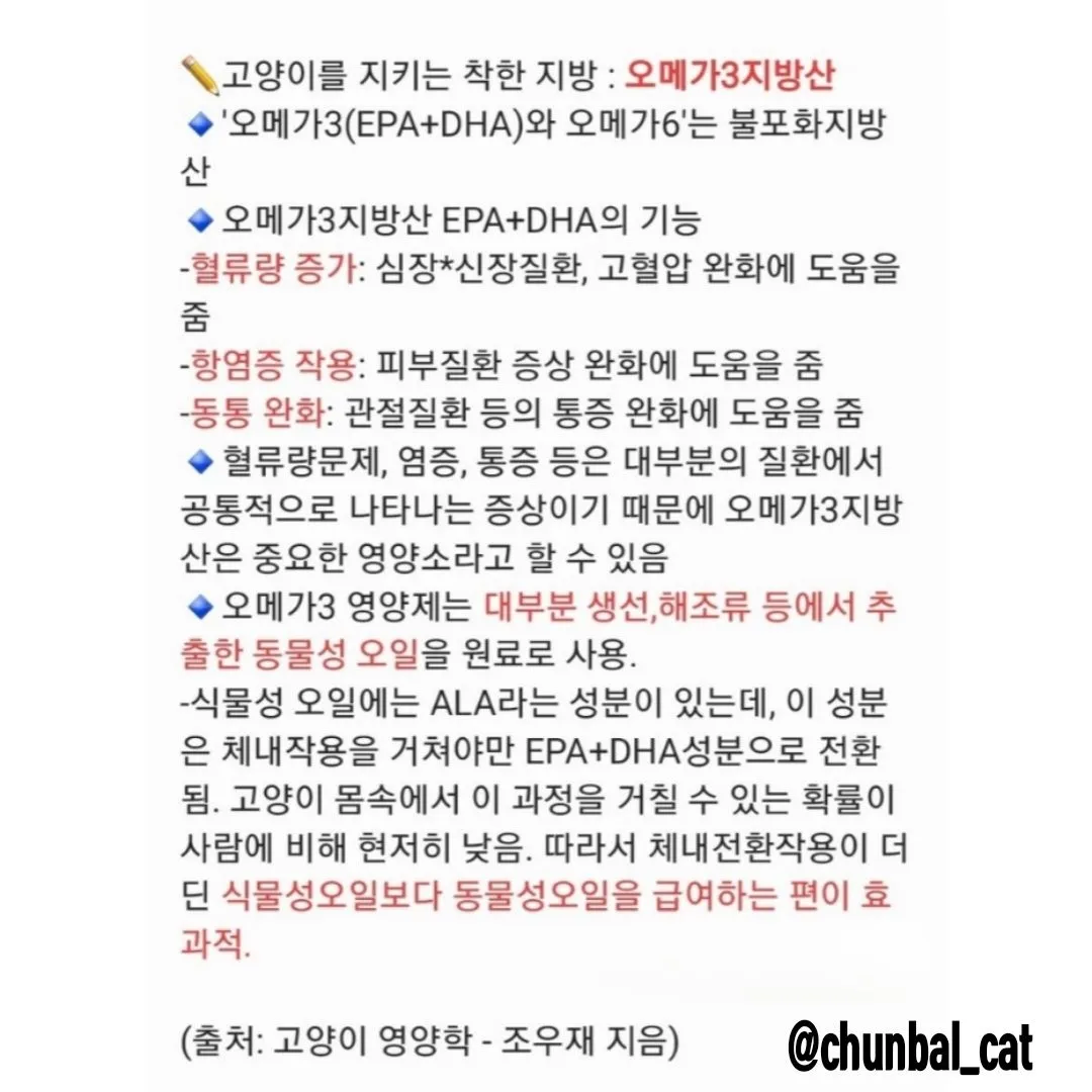 2번째 파일
