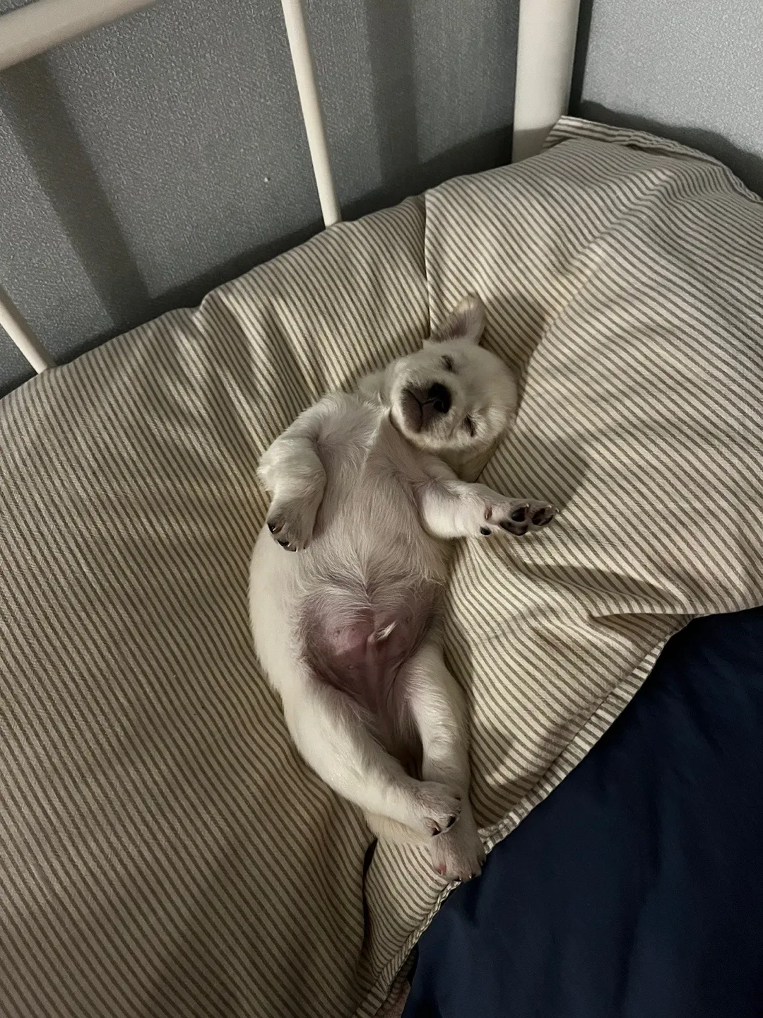 3번째 파일