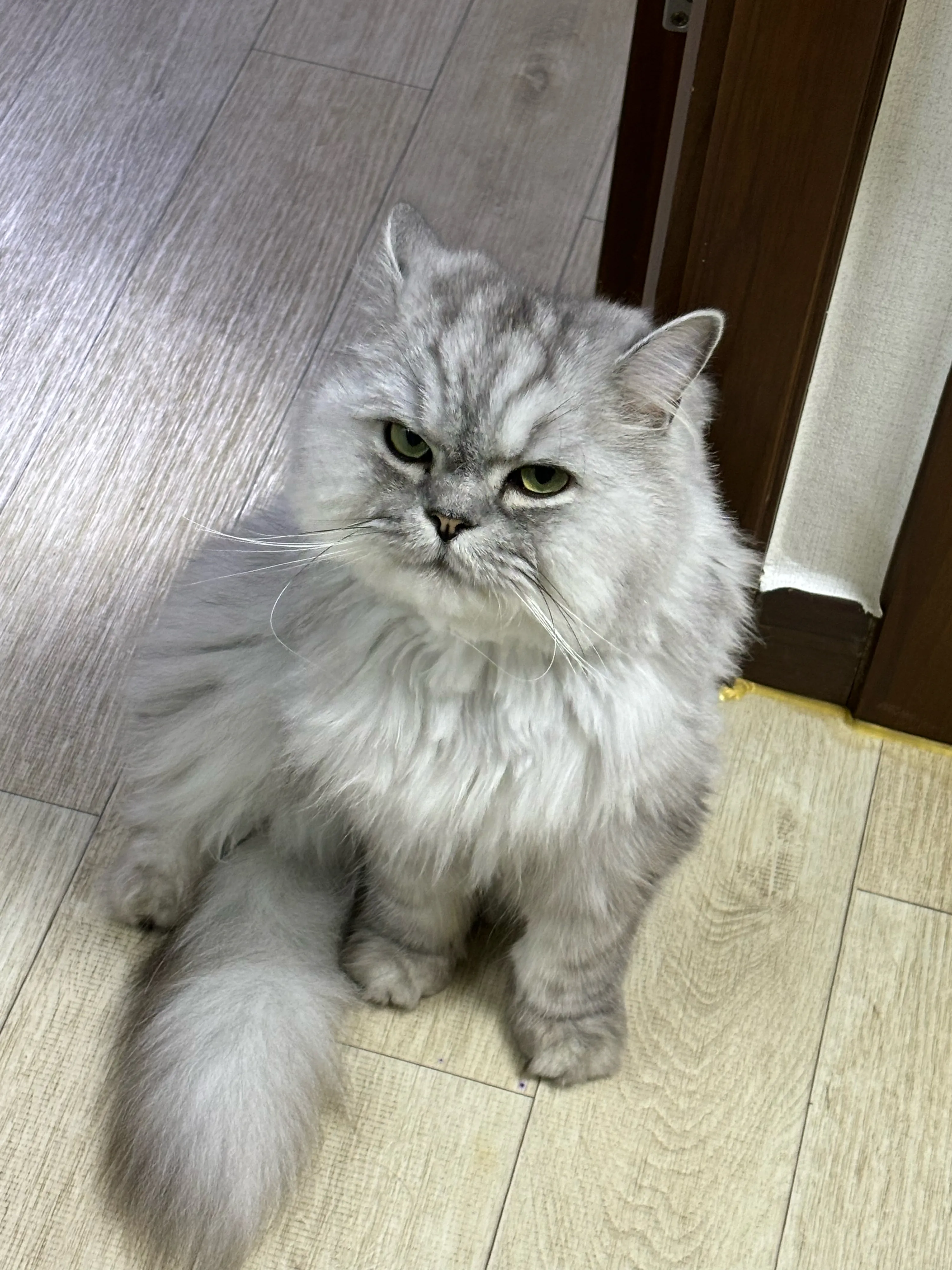 1번째 파일