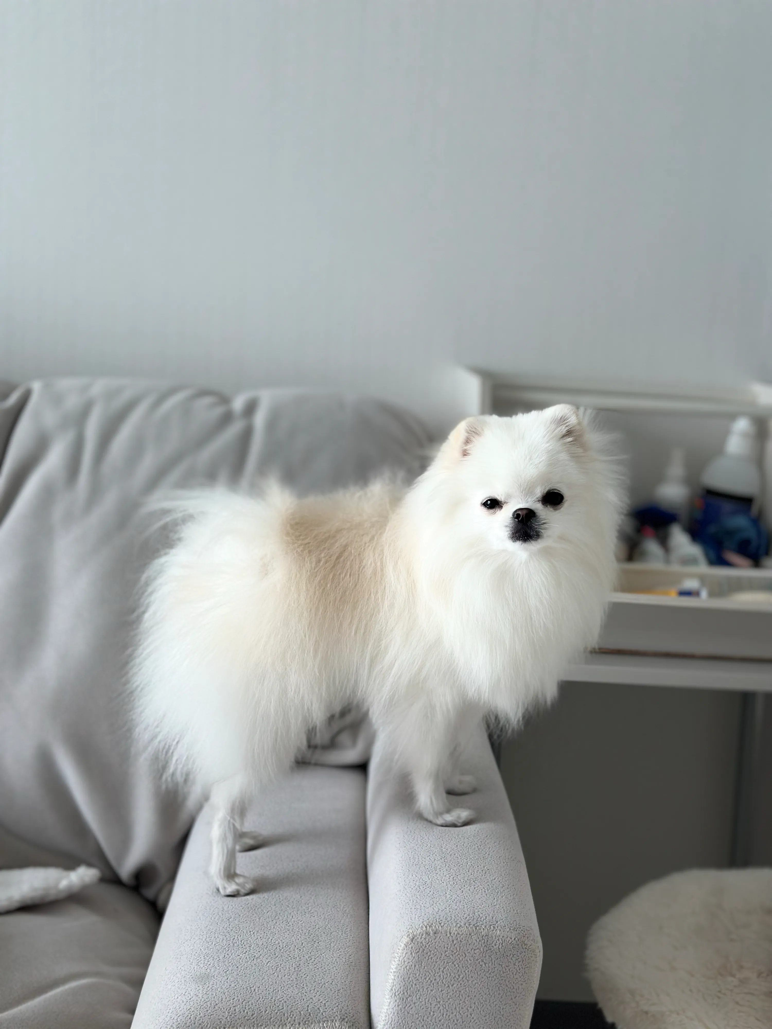 1번째 파일