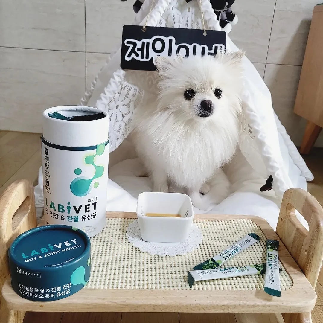 3번째 파일
