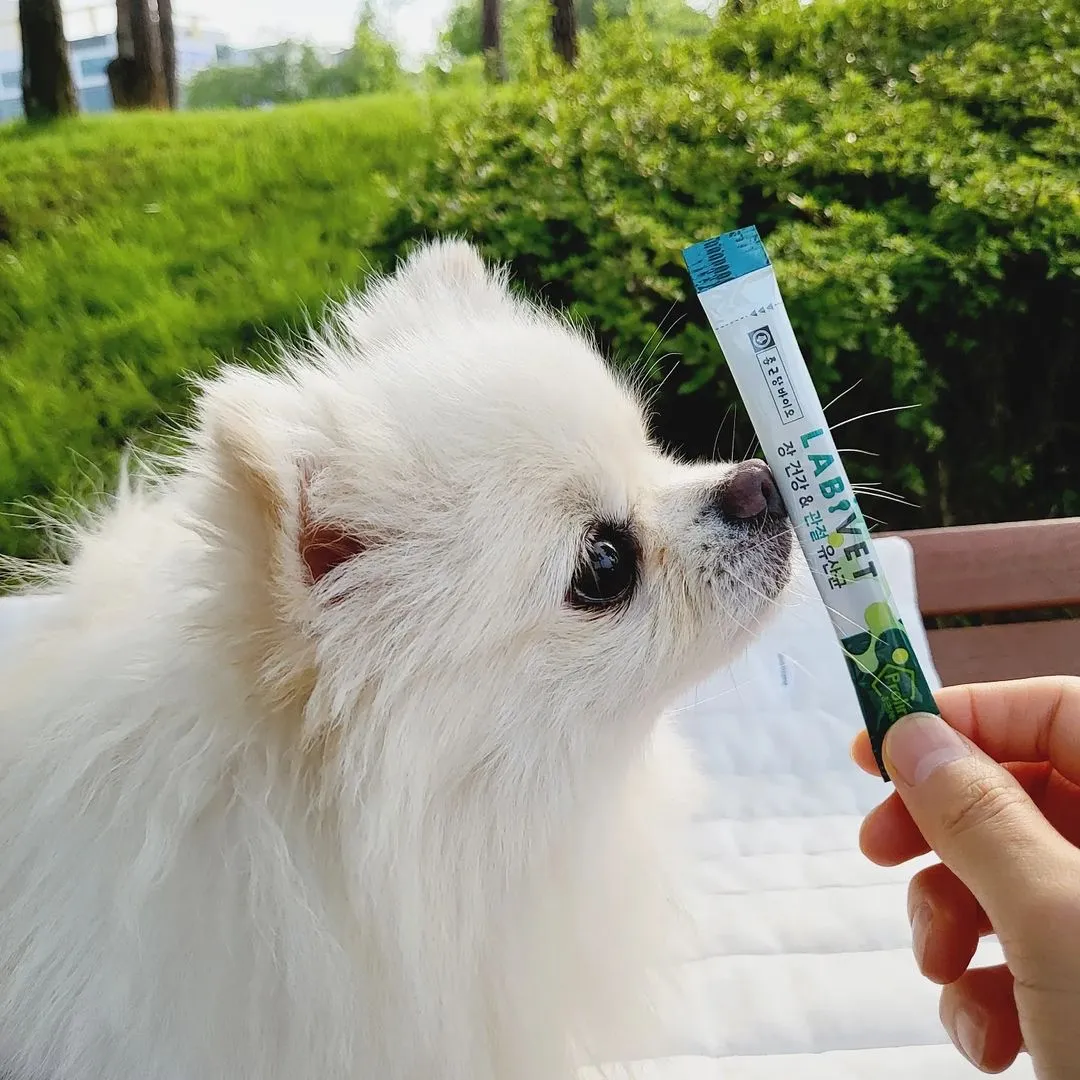 2번째 파일