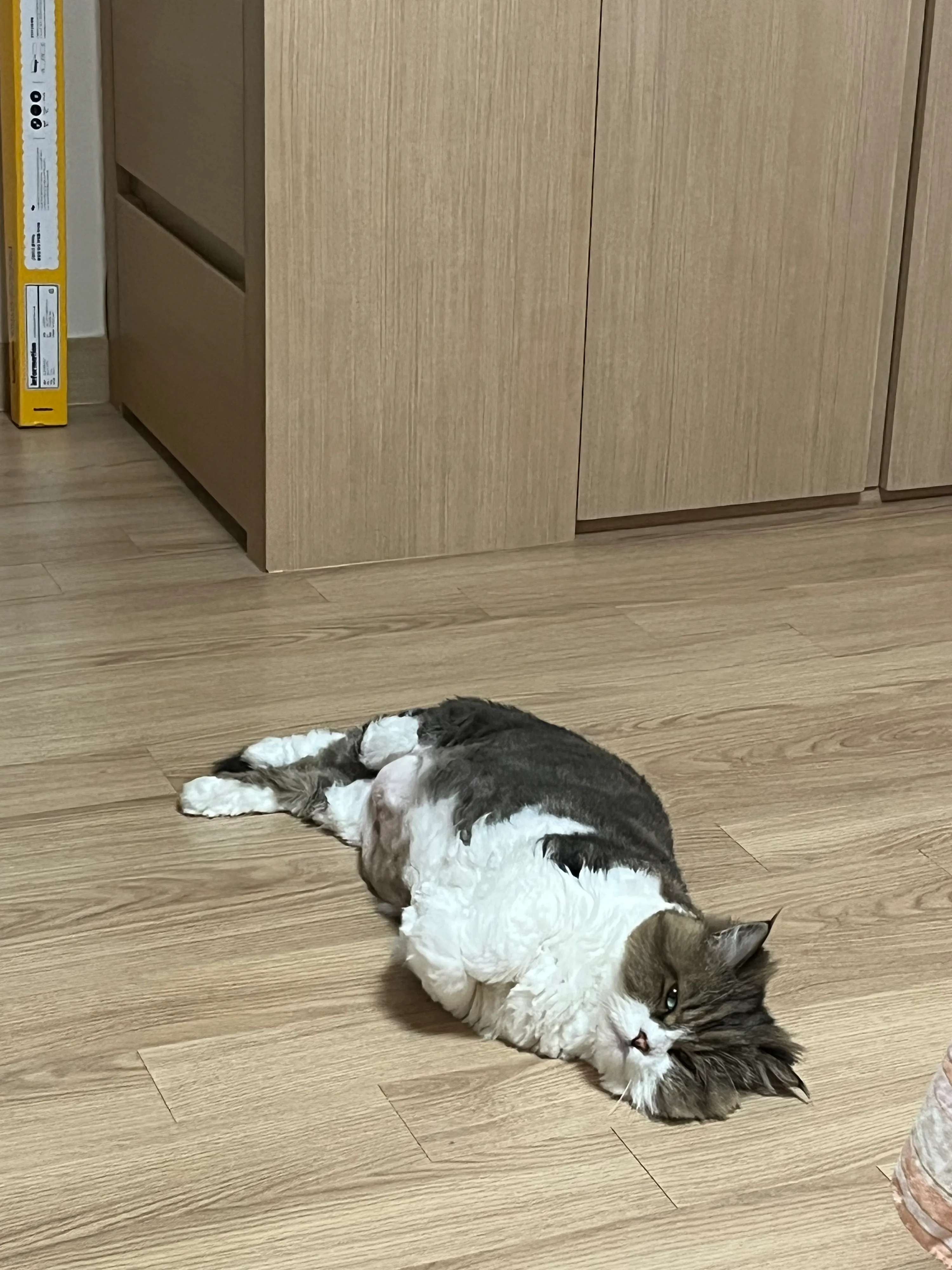 2번째 파일