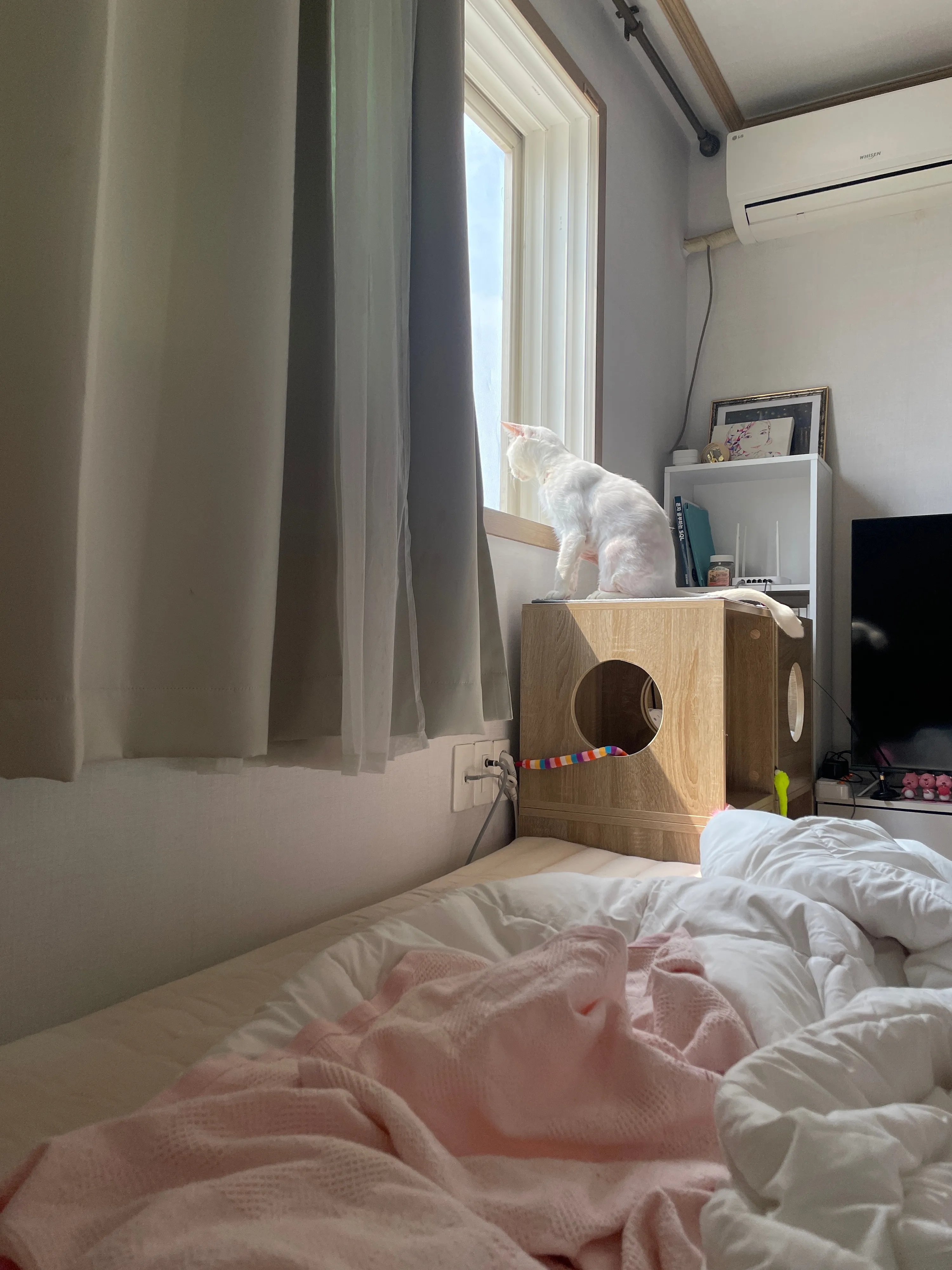 집사생활(커뮤니티) 쥔님께 아파트 한채 플렉스 | 반려동물 1등 쇼핑몰 - 펫프렌즈