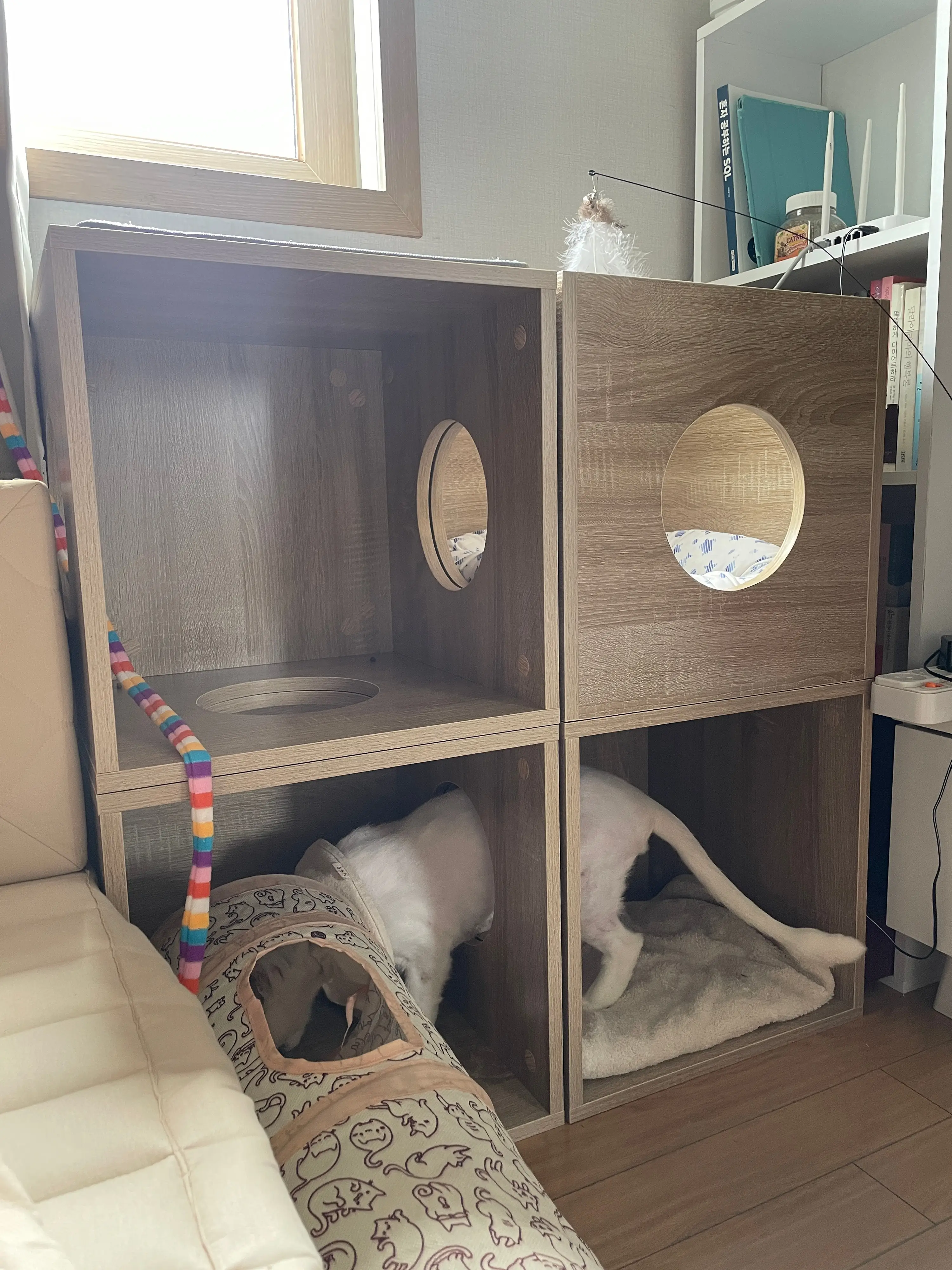 집사생활(커뮤니티) 쥔님께 아파트 한채 플렉스 | 반려동물 1등 쇼핑몰 - 펫프렌즈