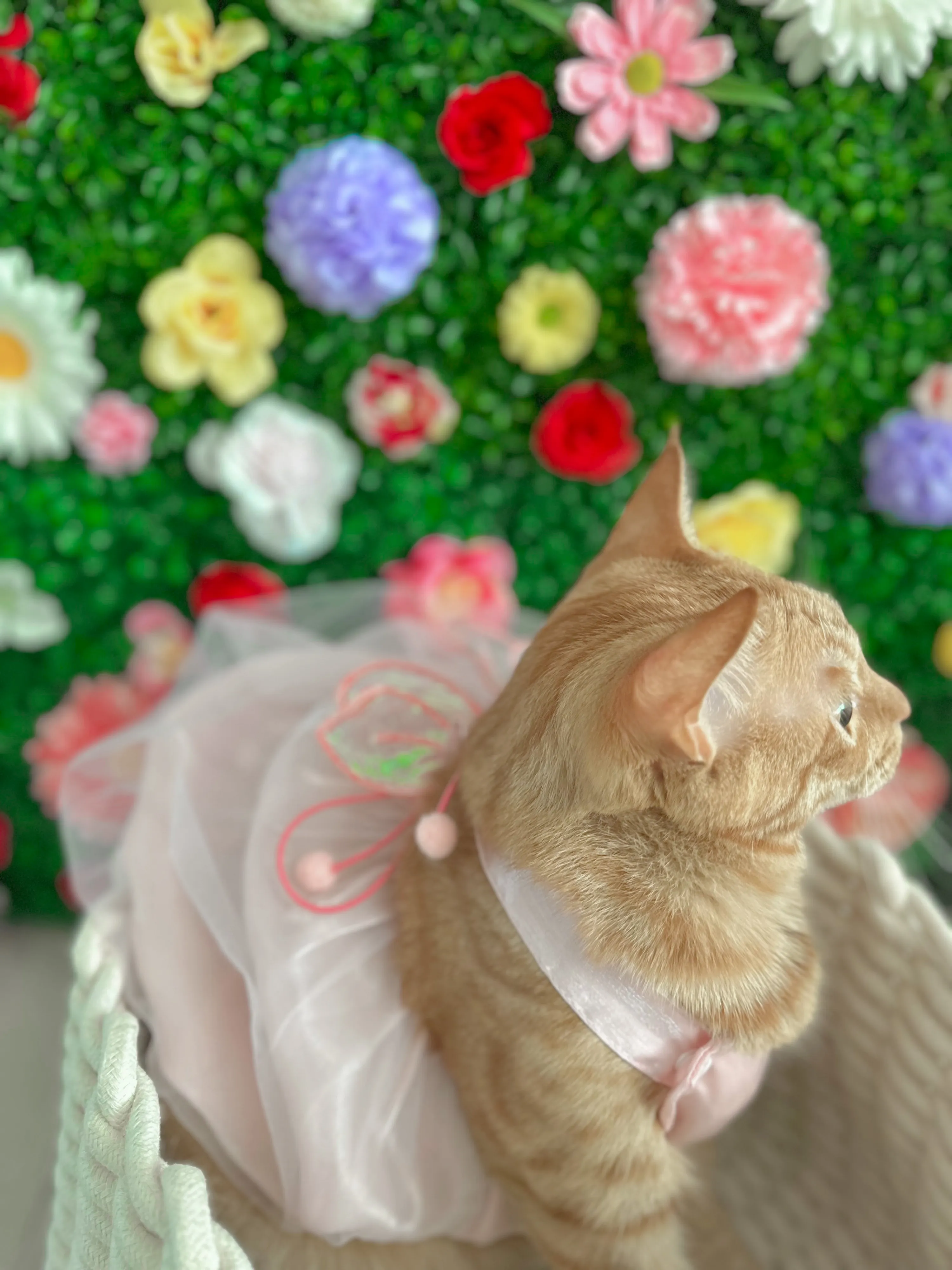 2번째 파일