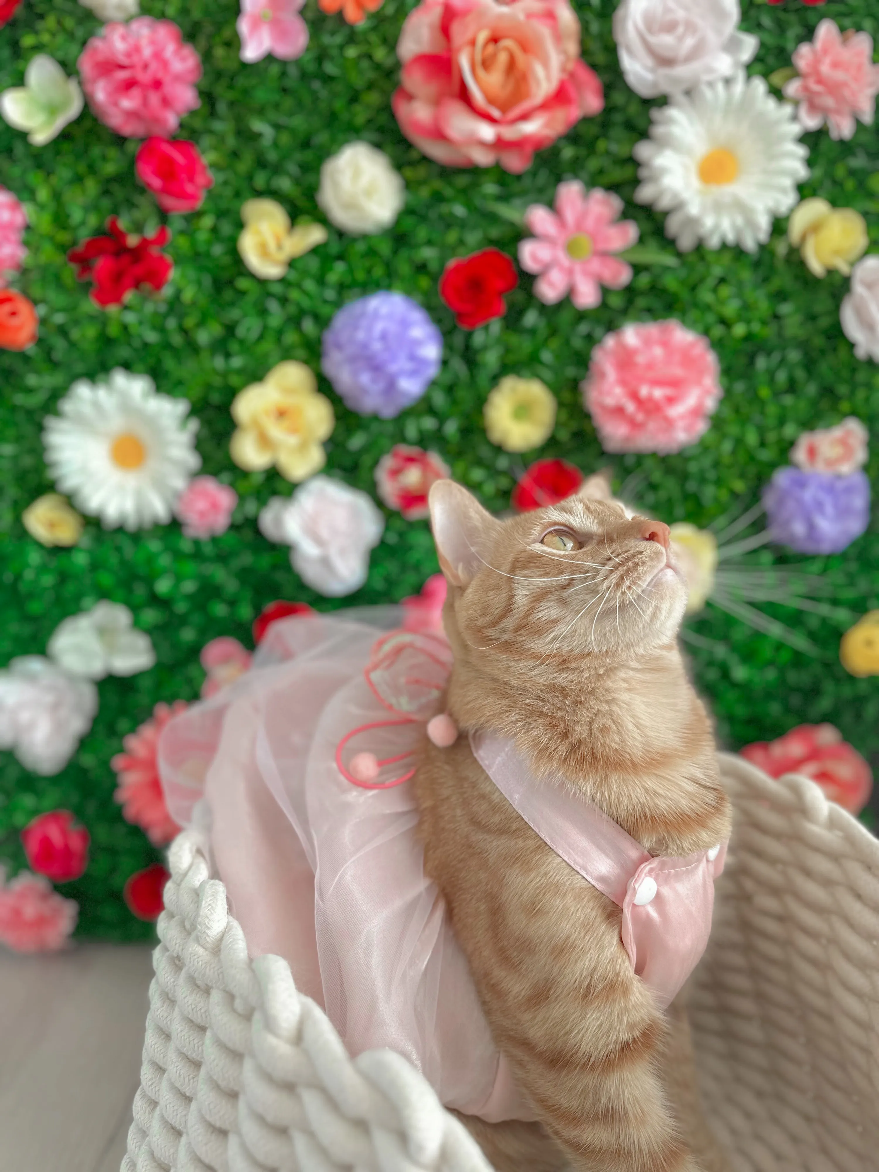 5번째 파일