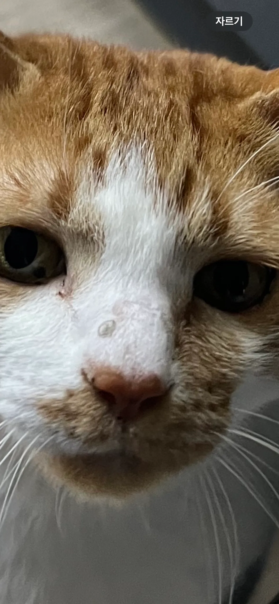 2번째 파일