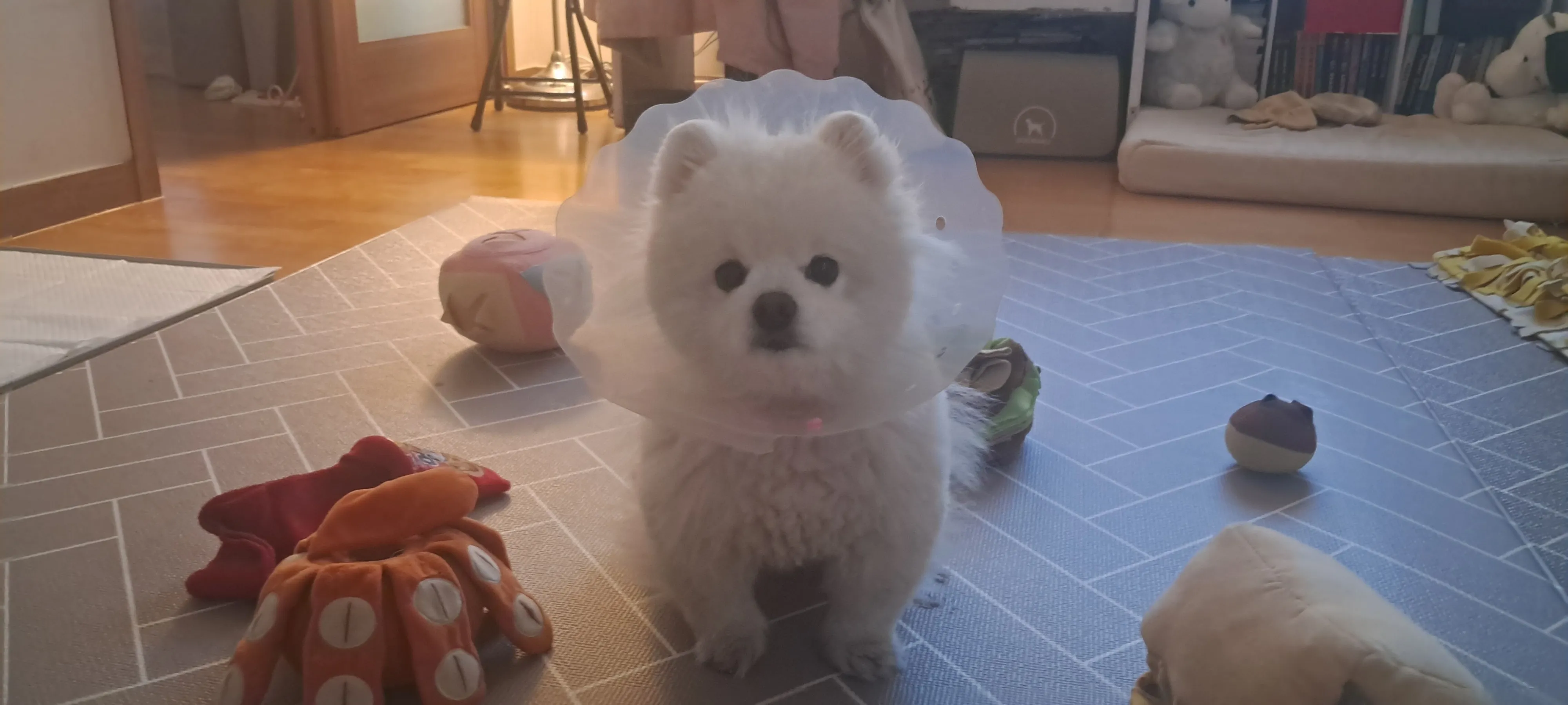 1번째 파일
