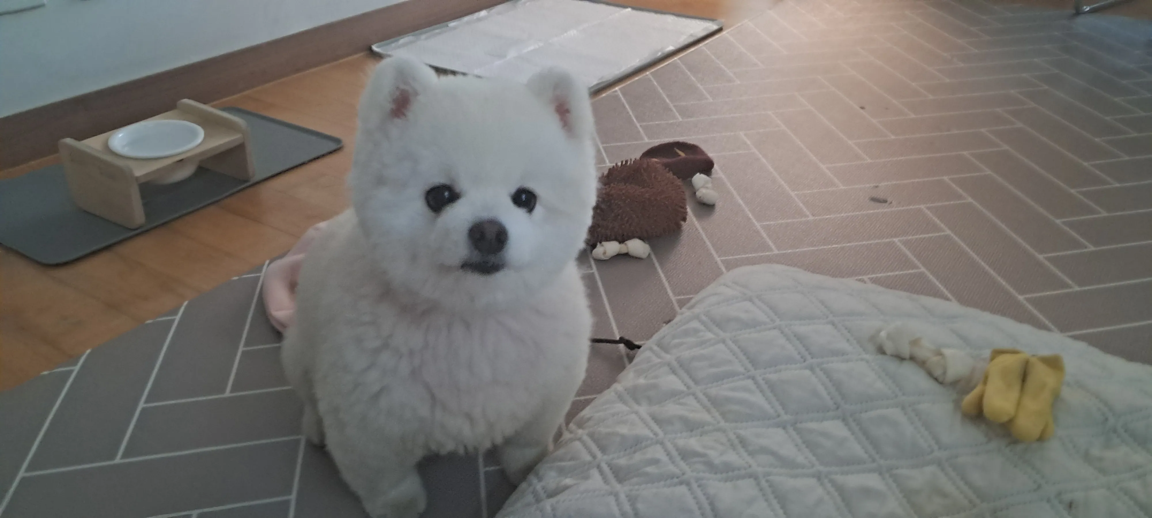 1번째 파일