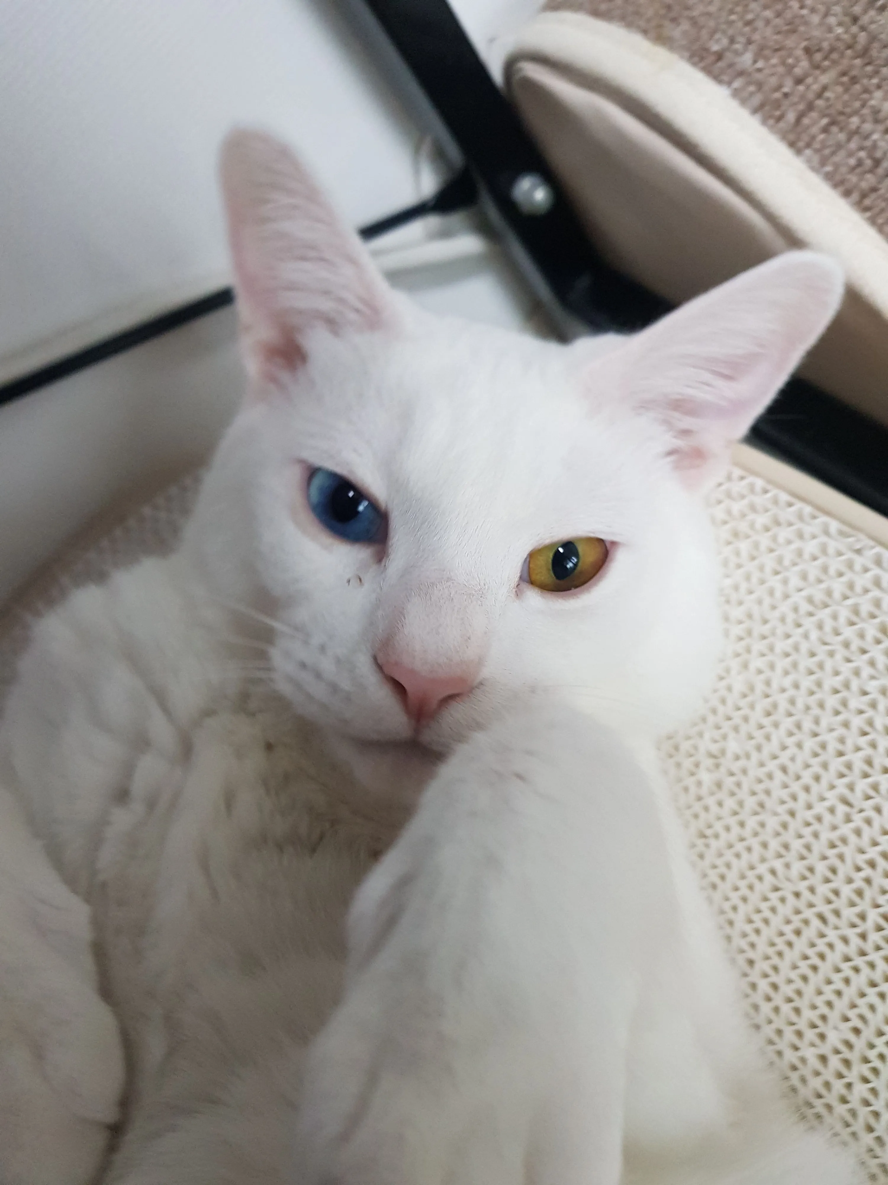 3번째 파일