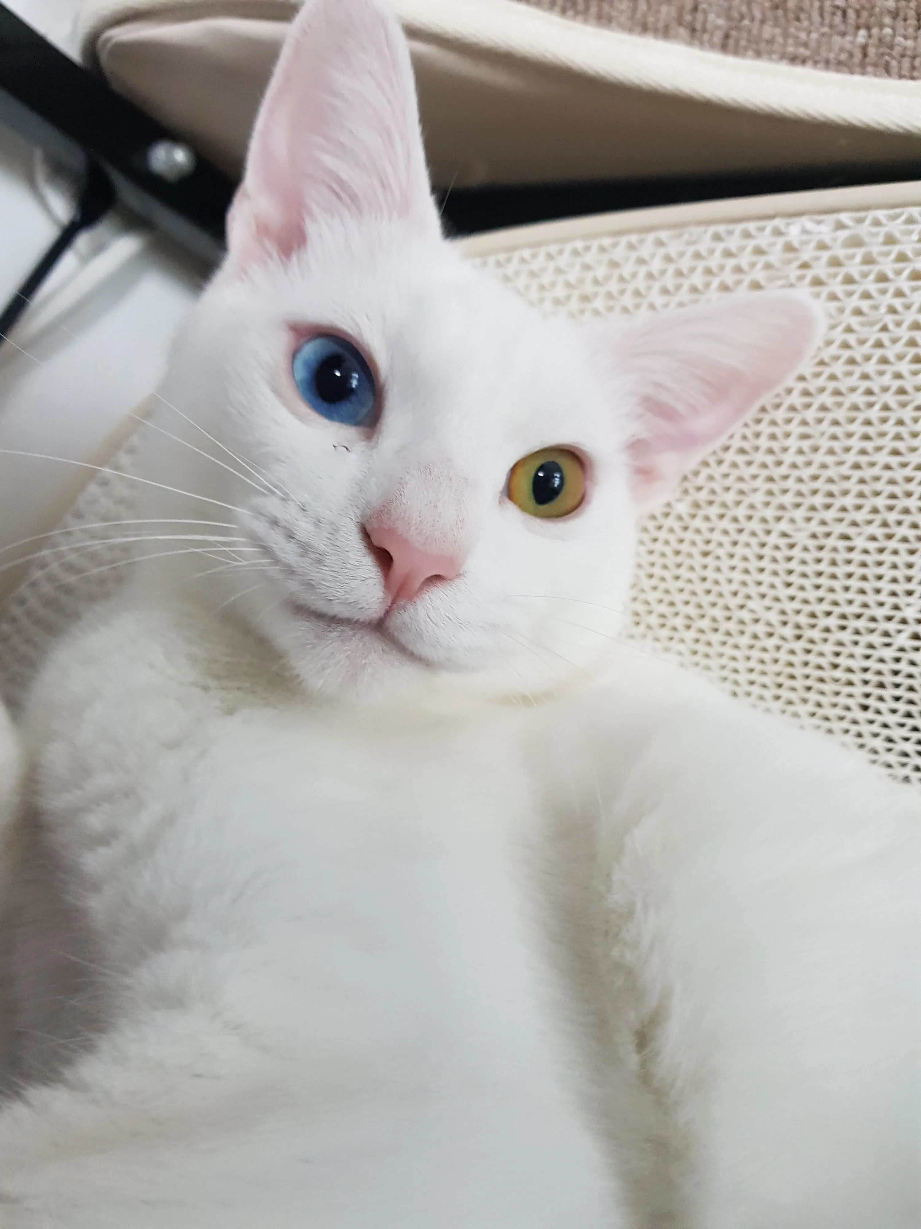 2번째 파일