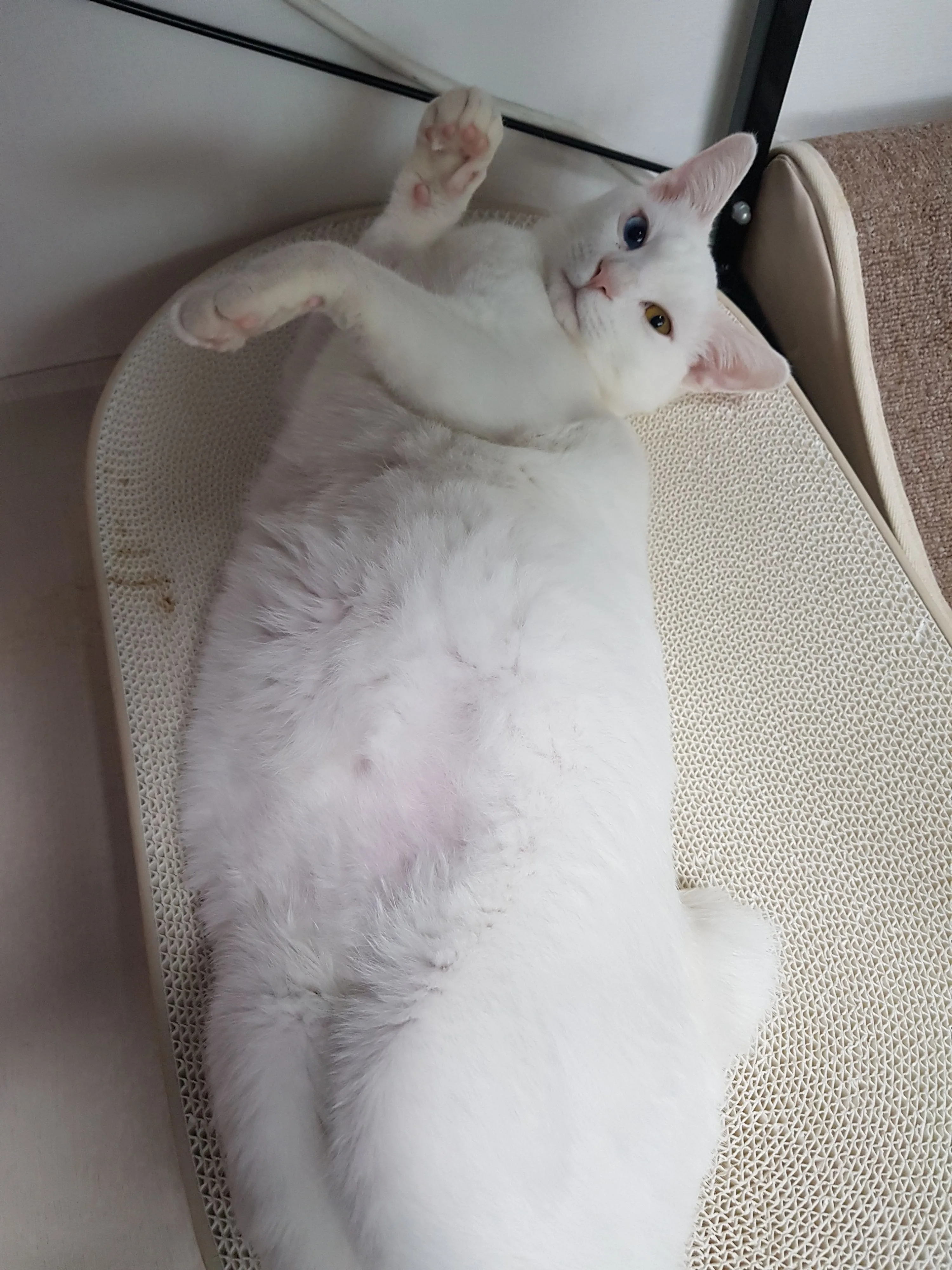 1번째 파일