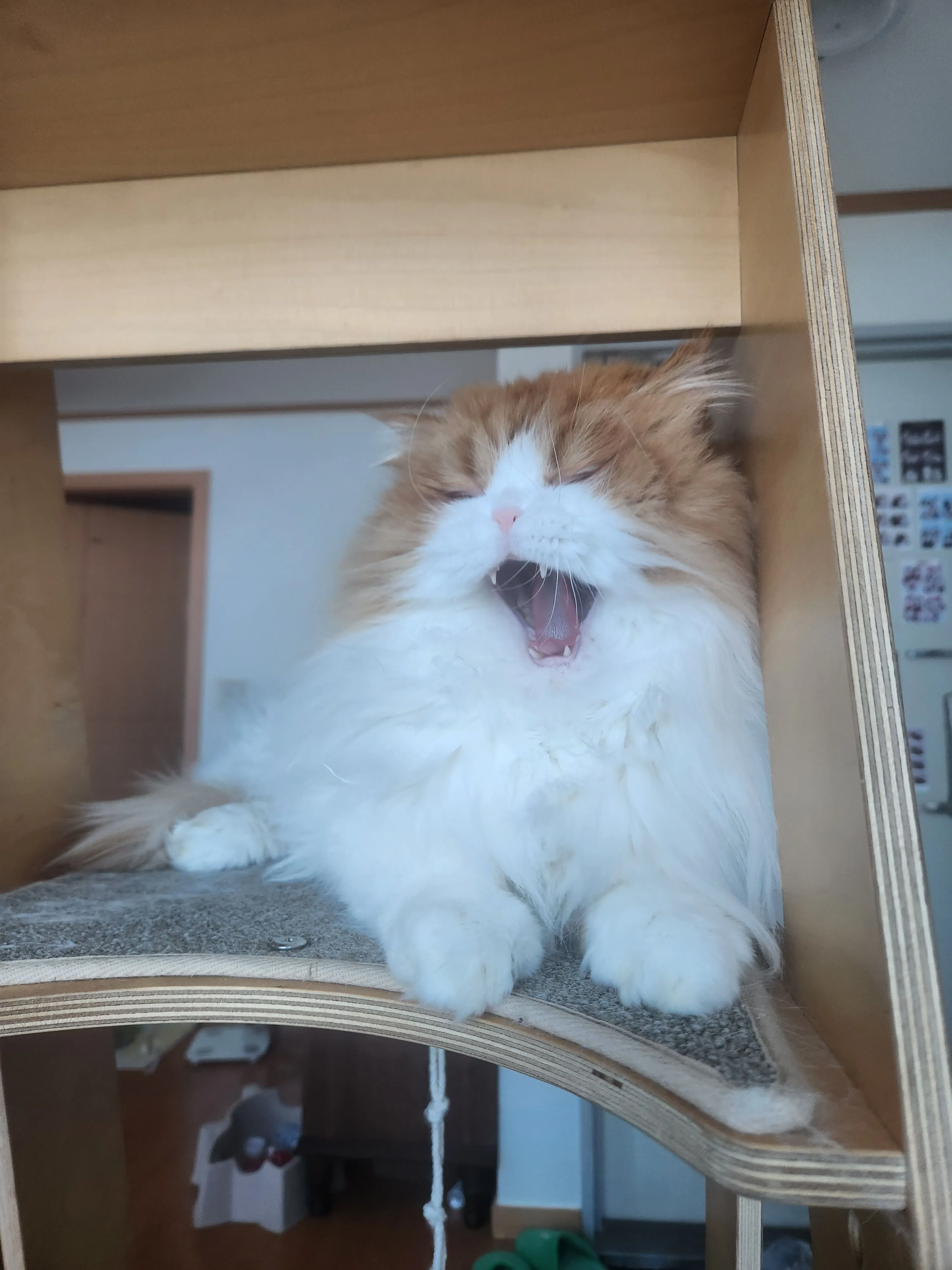 2번째 파일