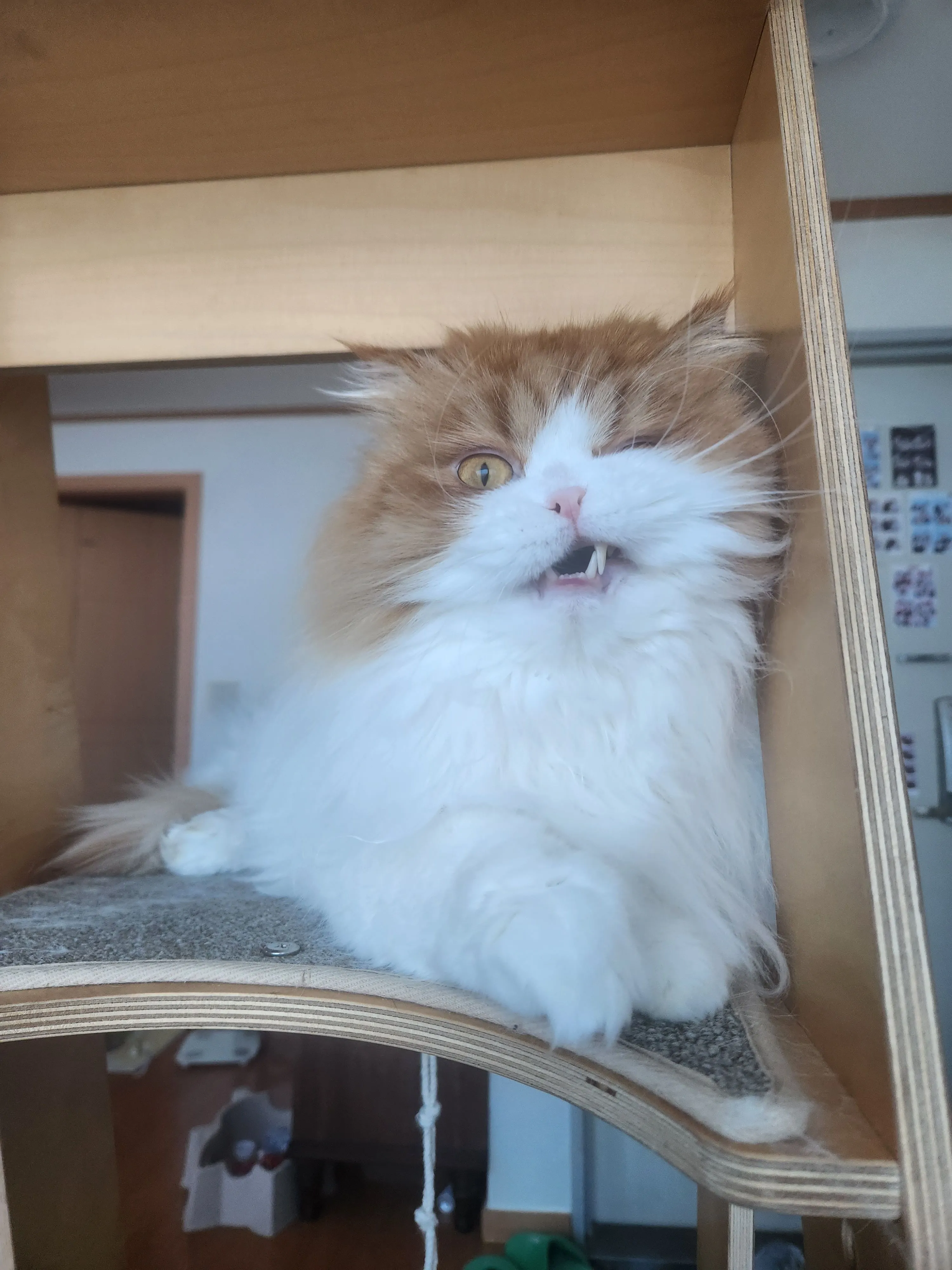 3번째 파일