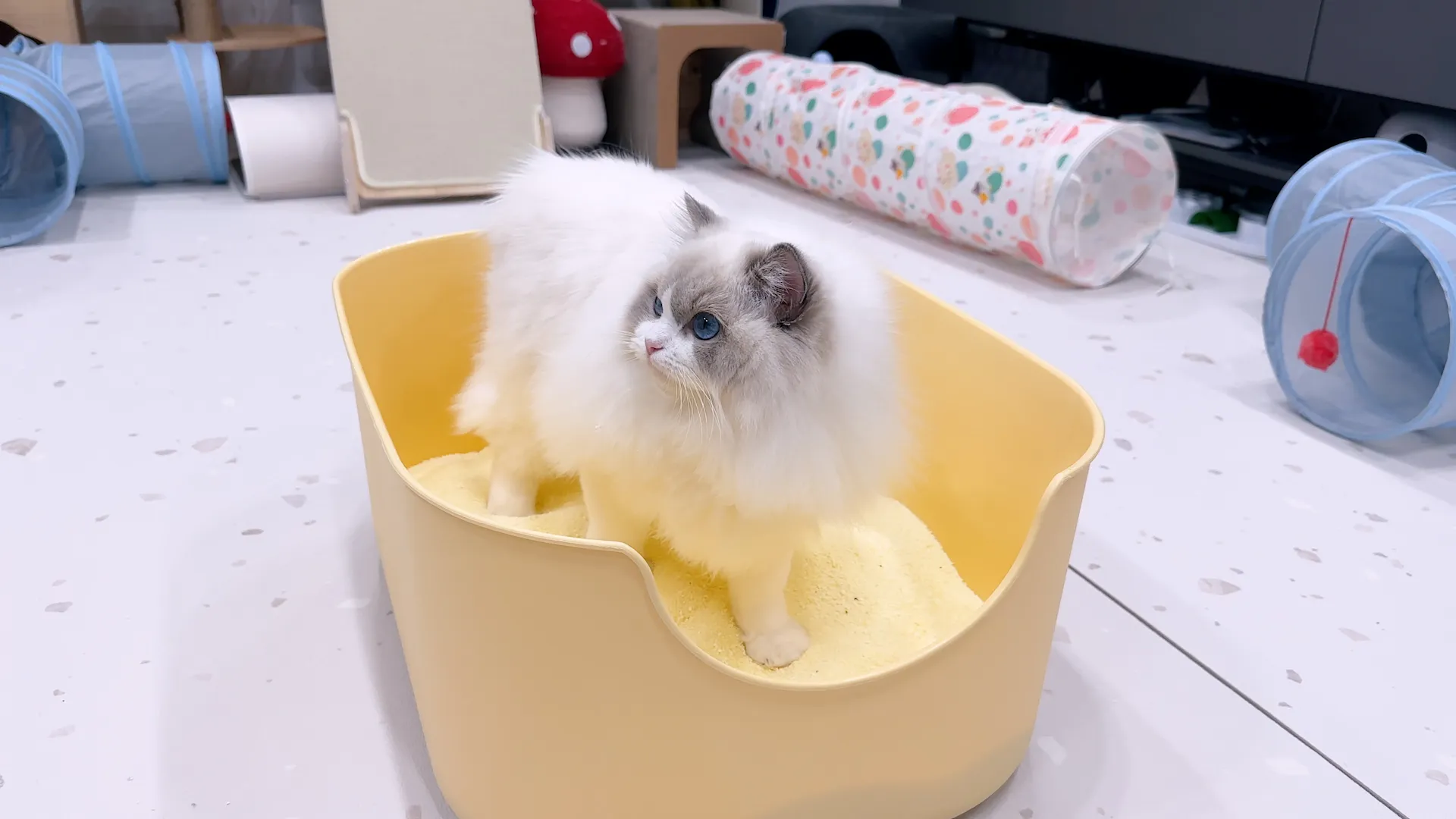 3번째 파일