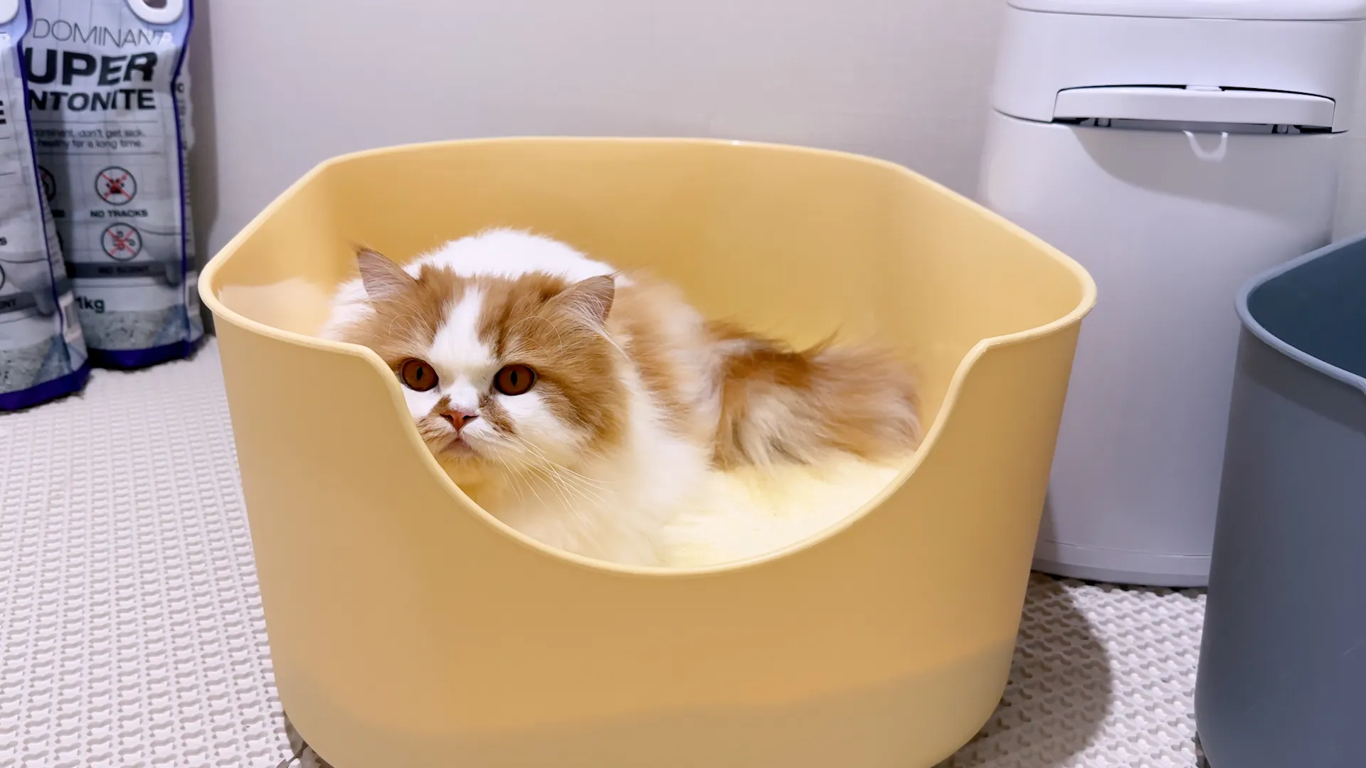 4번째 파일