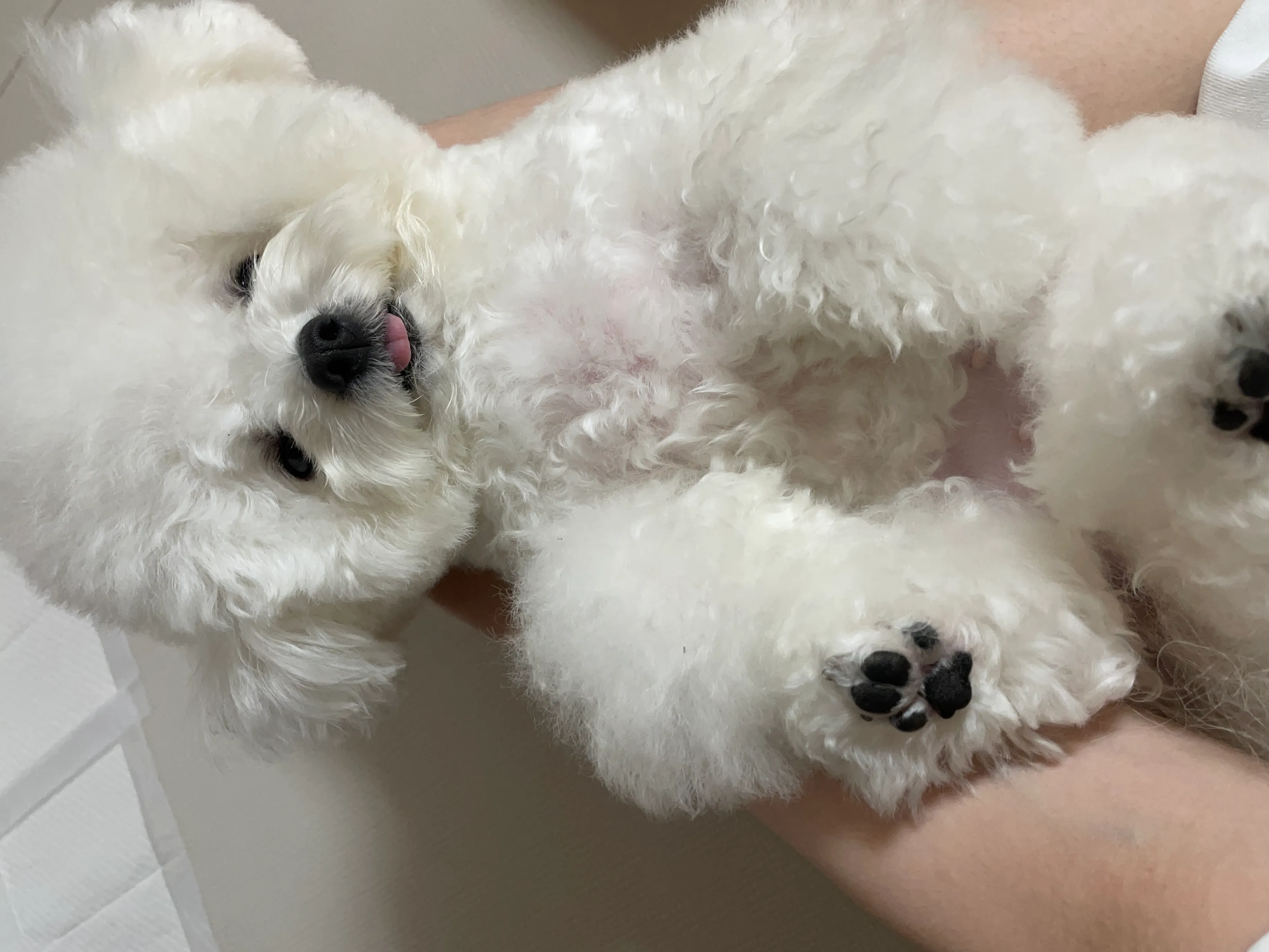 5번째 파일