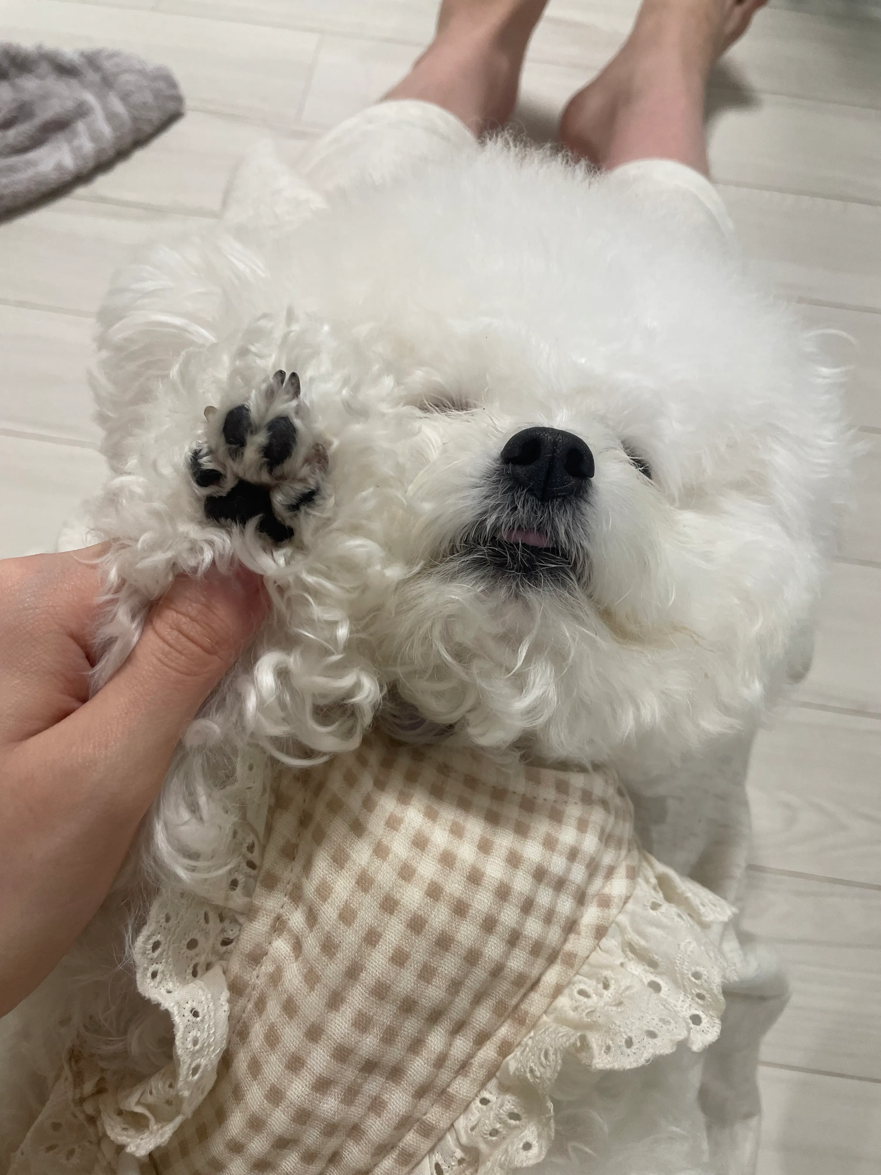 3번째 파일