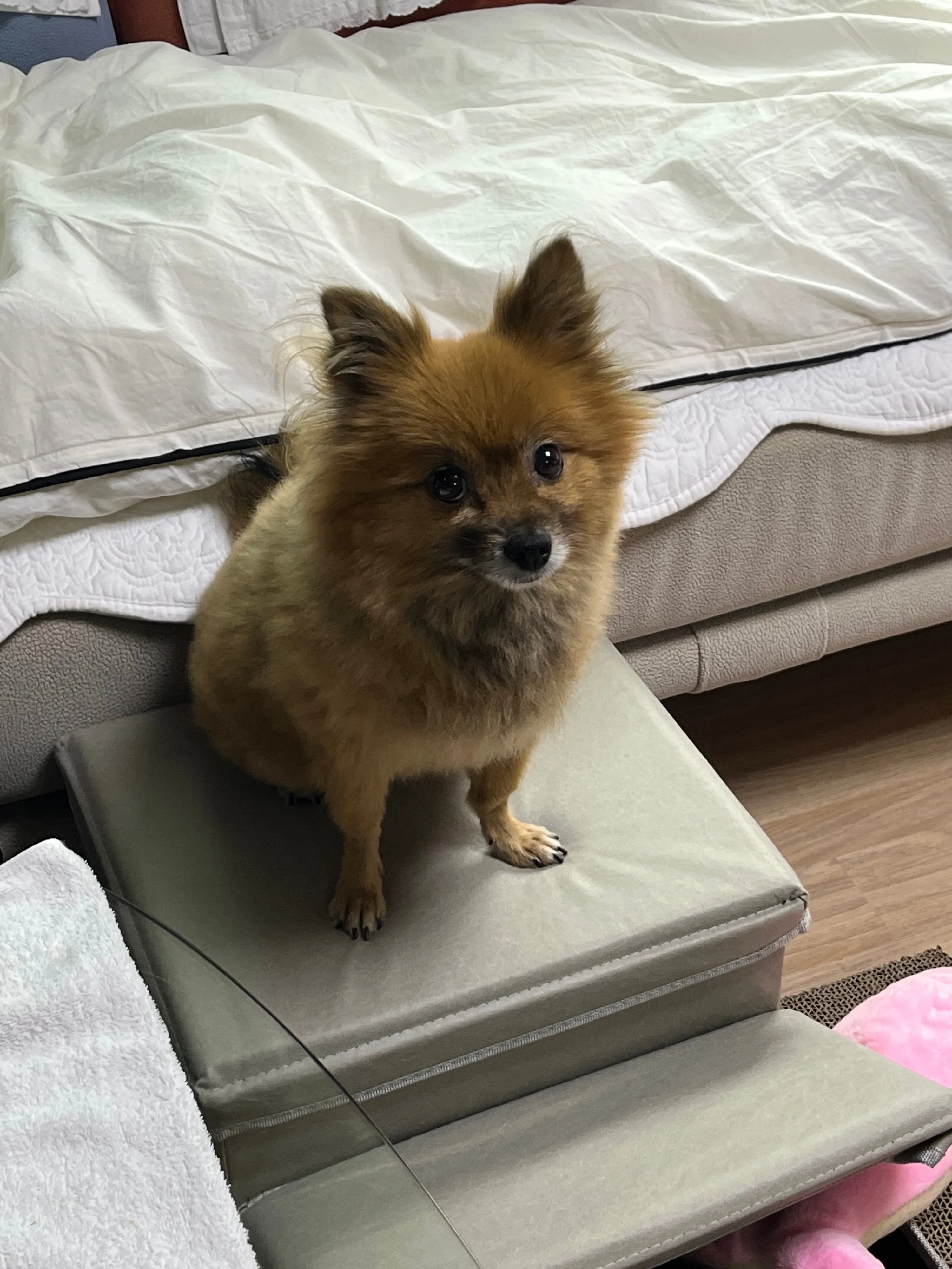 1번째 파일