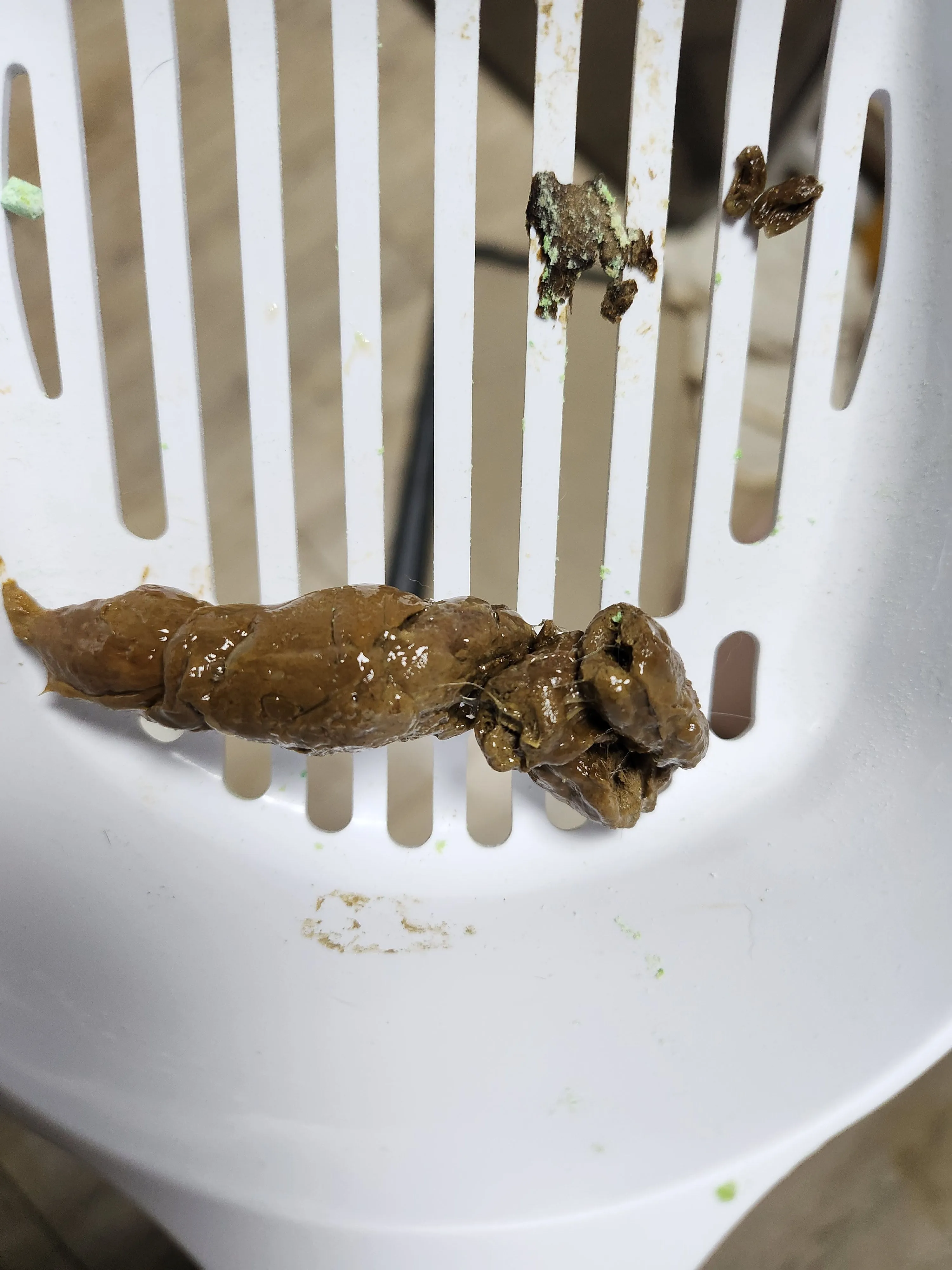 1번째 파일