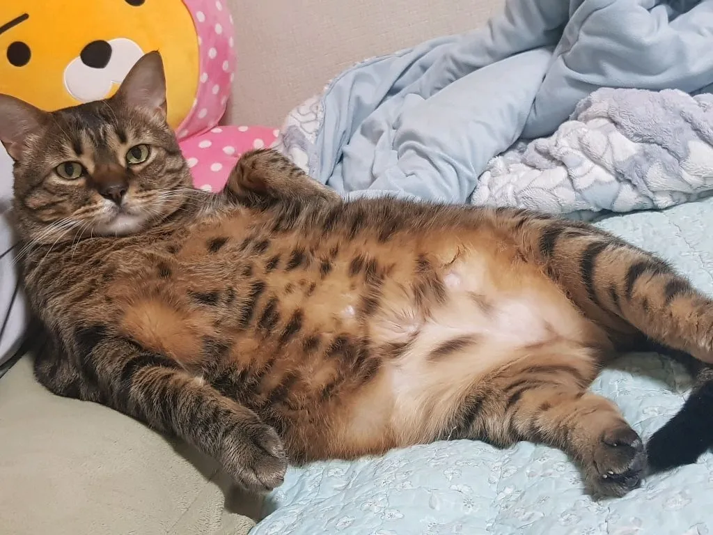 2번째 파일