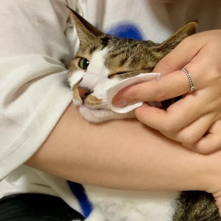 3번째 파일