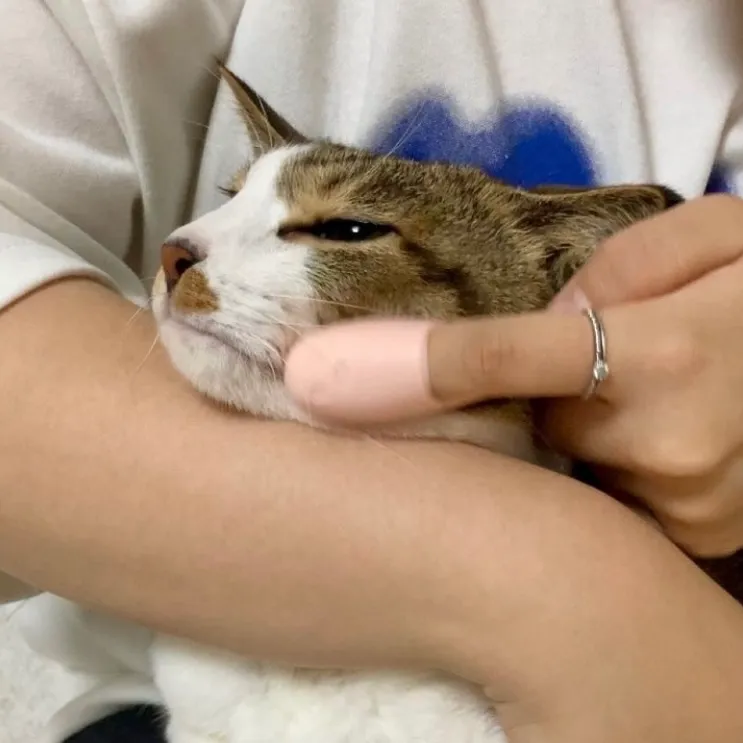 2번째 파일